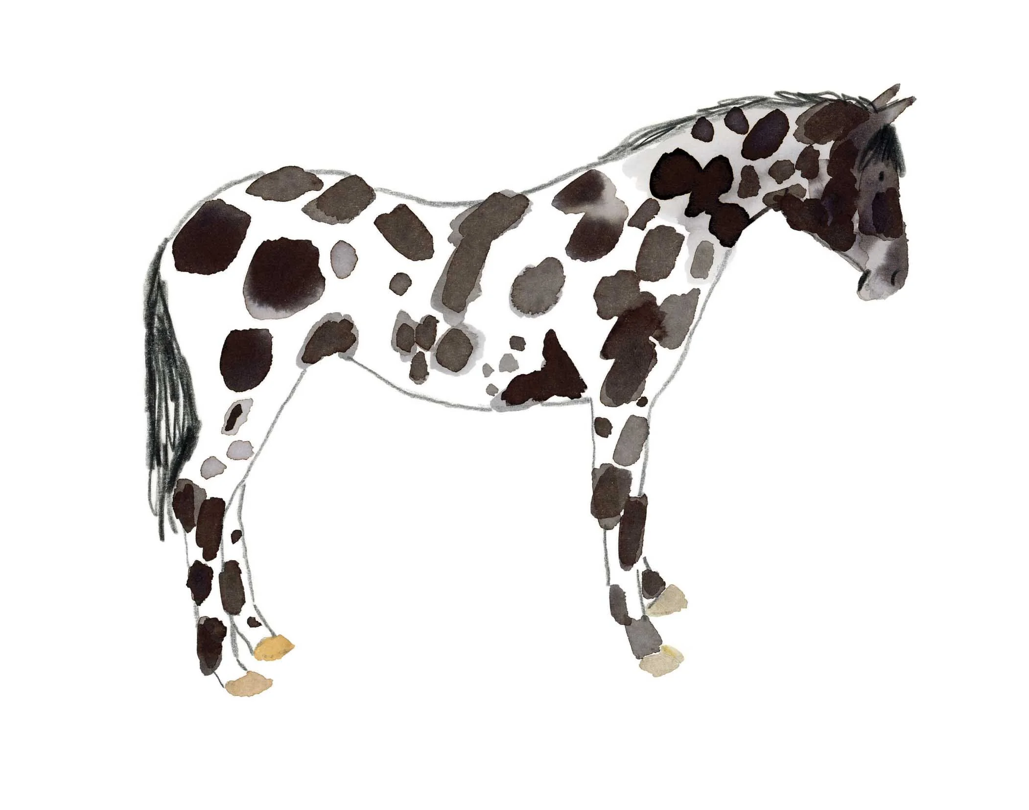Original Black and white horse 1 online.jpg