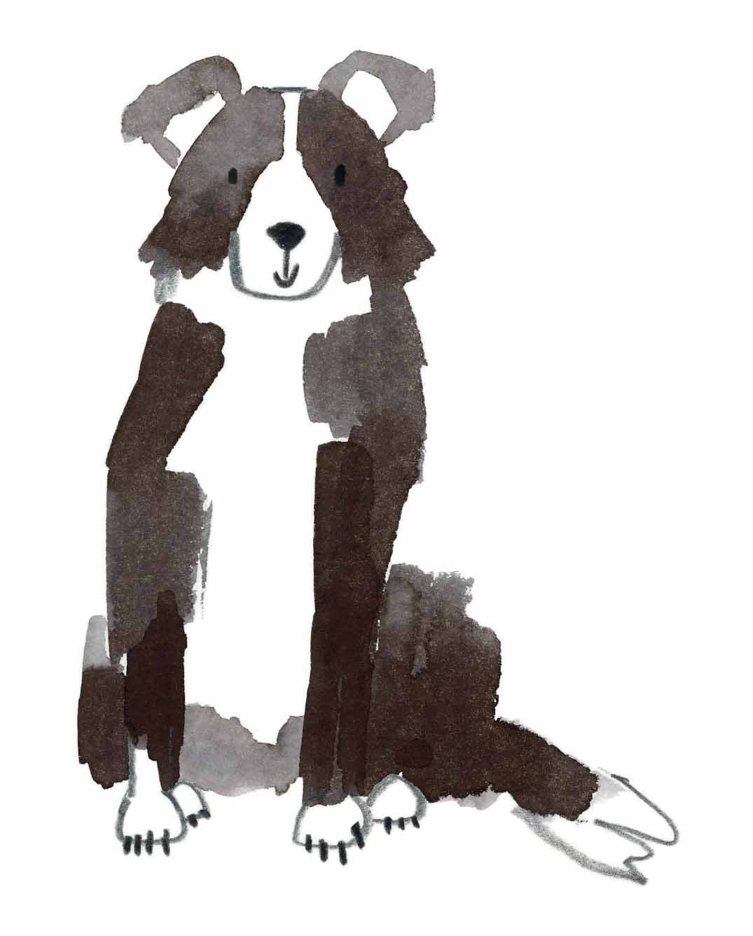 Collie Original 2 online.jpg