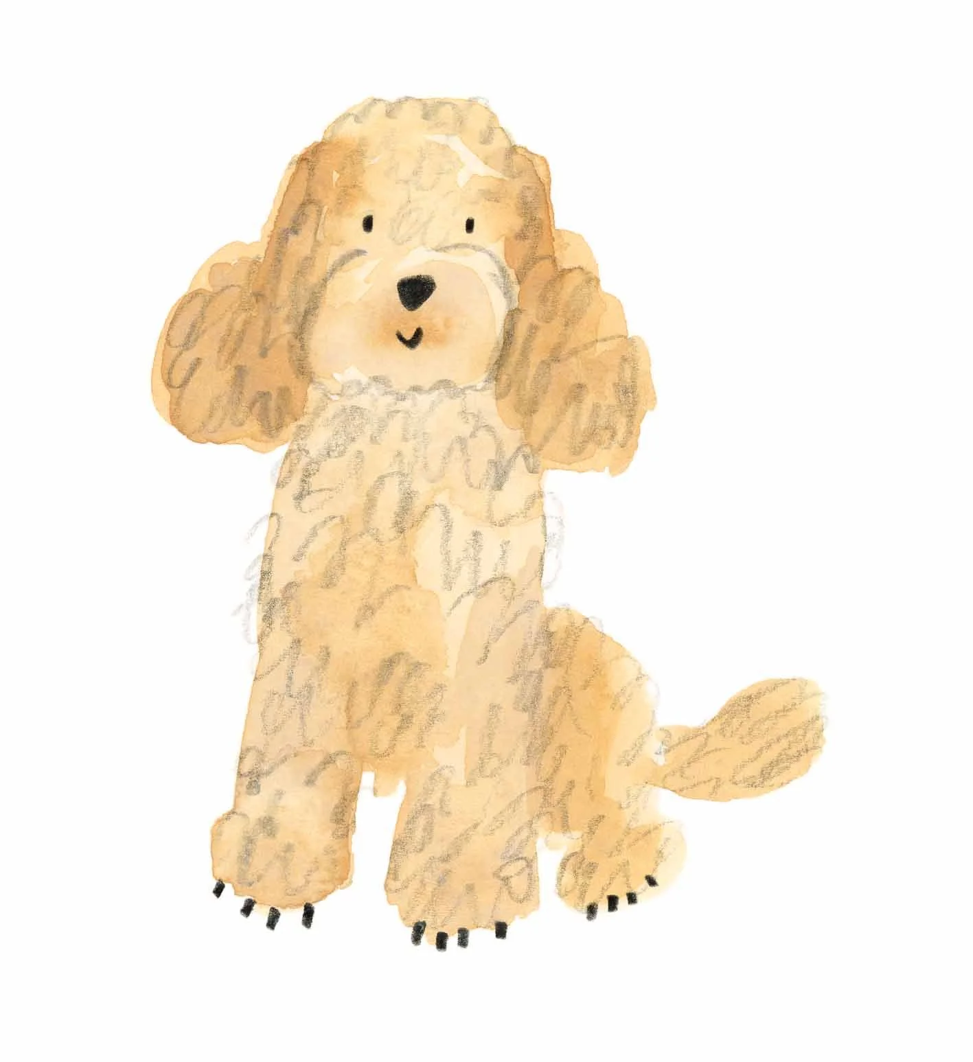 Cockapoo Original 1 online.jpg