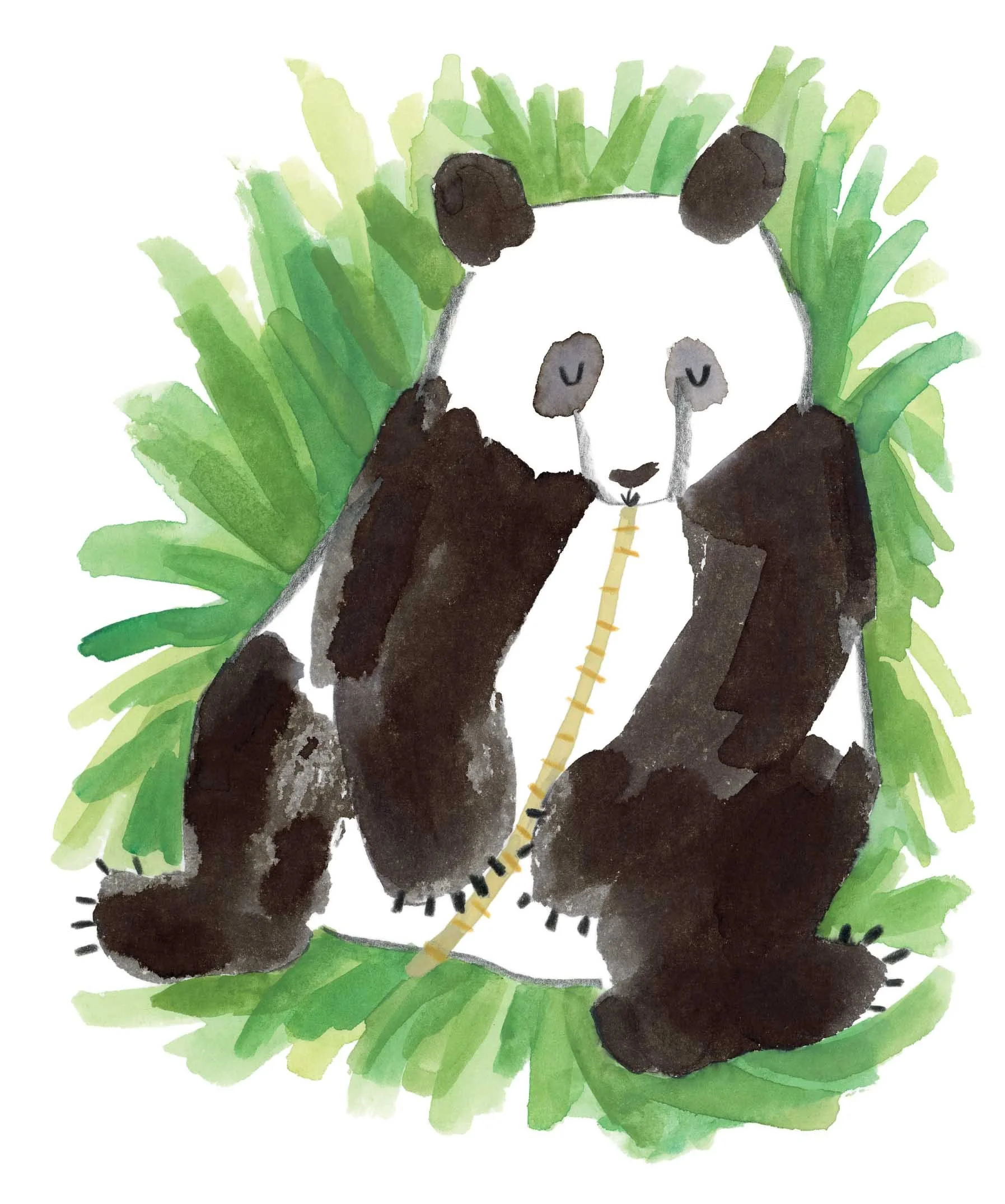 Panda 1 online.jpg
