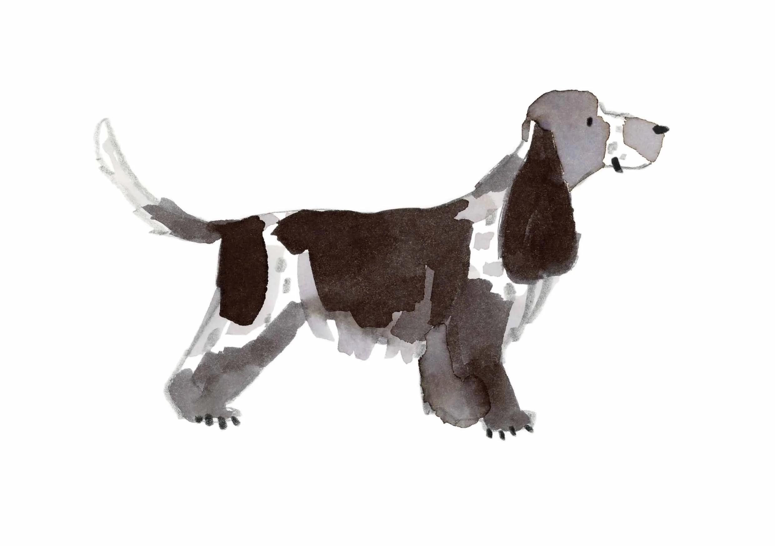 Blue Roan Print 1 online.jpg