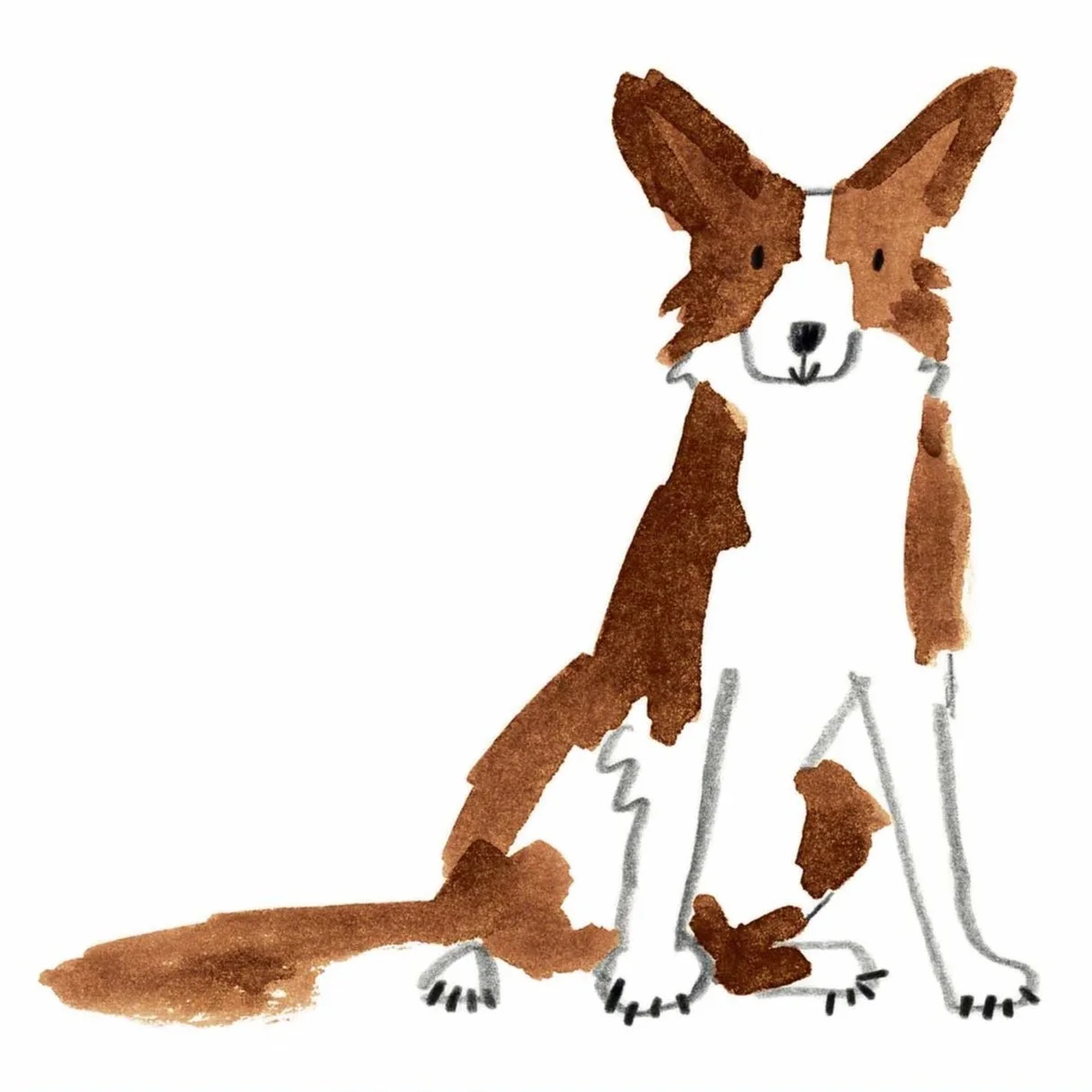 G+O%27Neill-+Collie+2.jpg