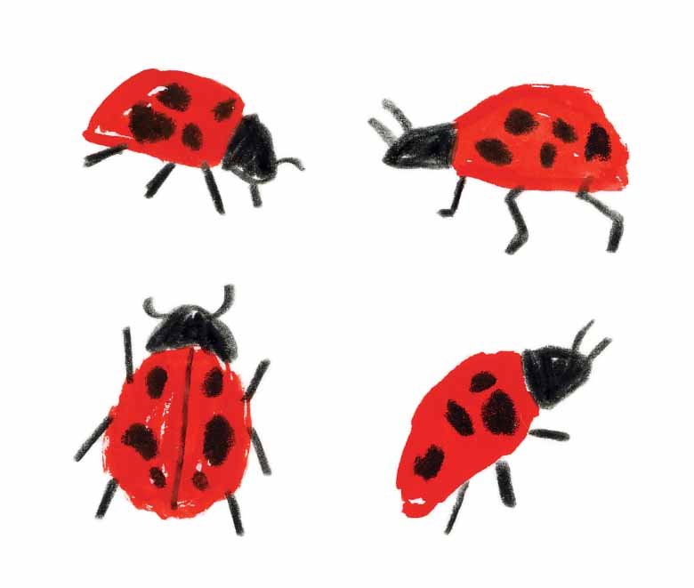Ladybirds 3 online.jpg