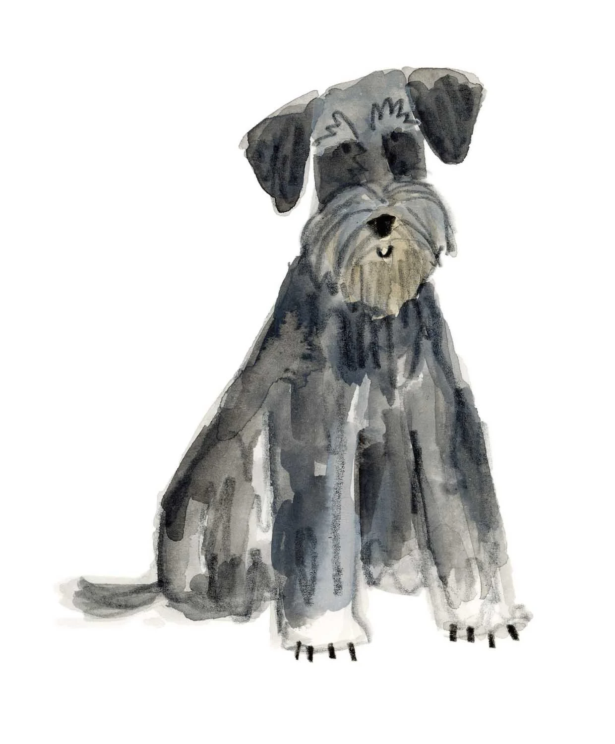 Schnauzer 2 online.jpg