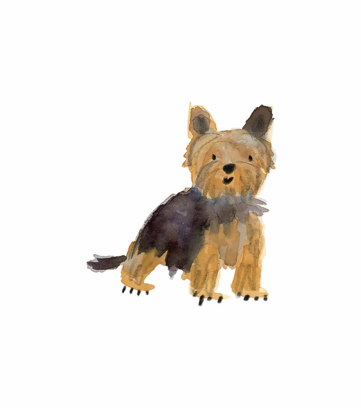 Yorkshire Terrier 2 online.jpg
