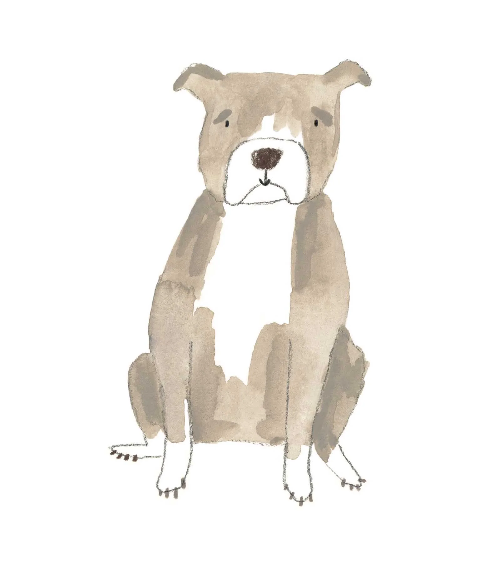 Staffy 1 online.jpg
