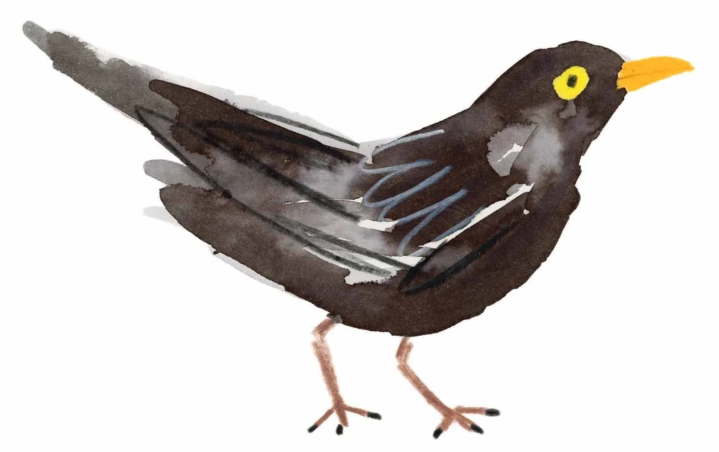 Black Bird Original 7 online.jpg