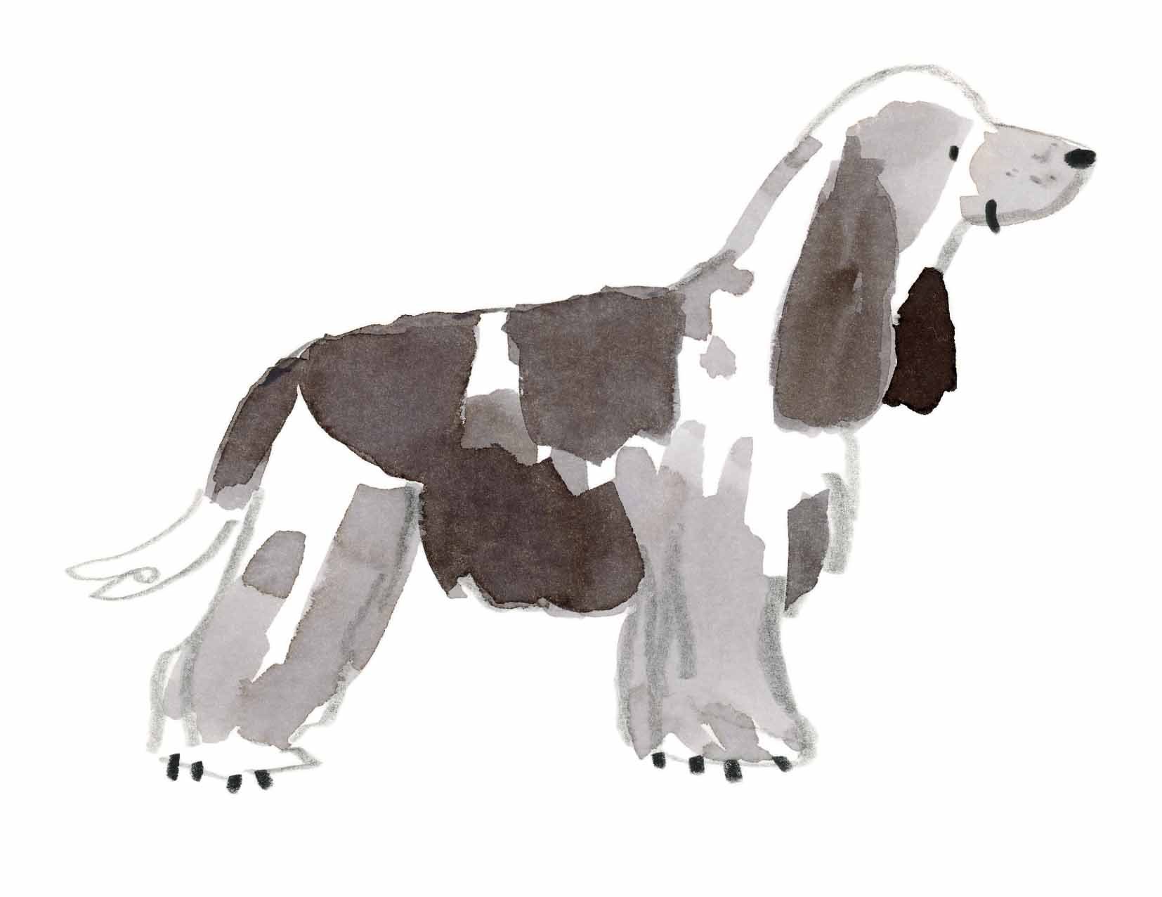 Blue Roan original 5 online.jpg