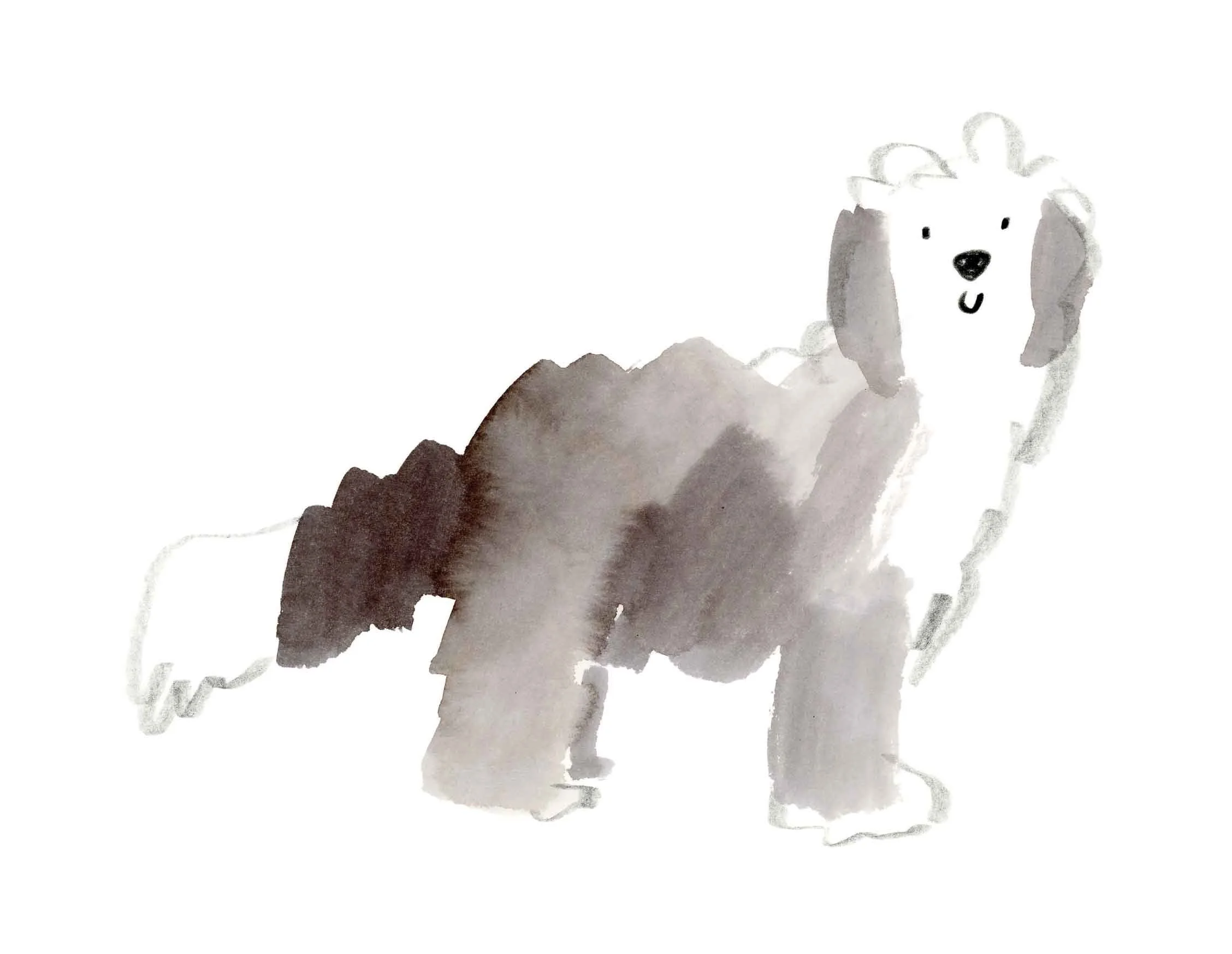 Old English Sheepdog 6 (online).jpg