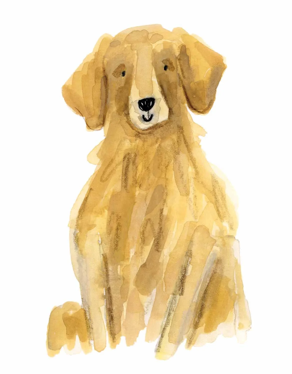 Golden Retriever 1 online.jpg
