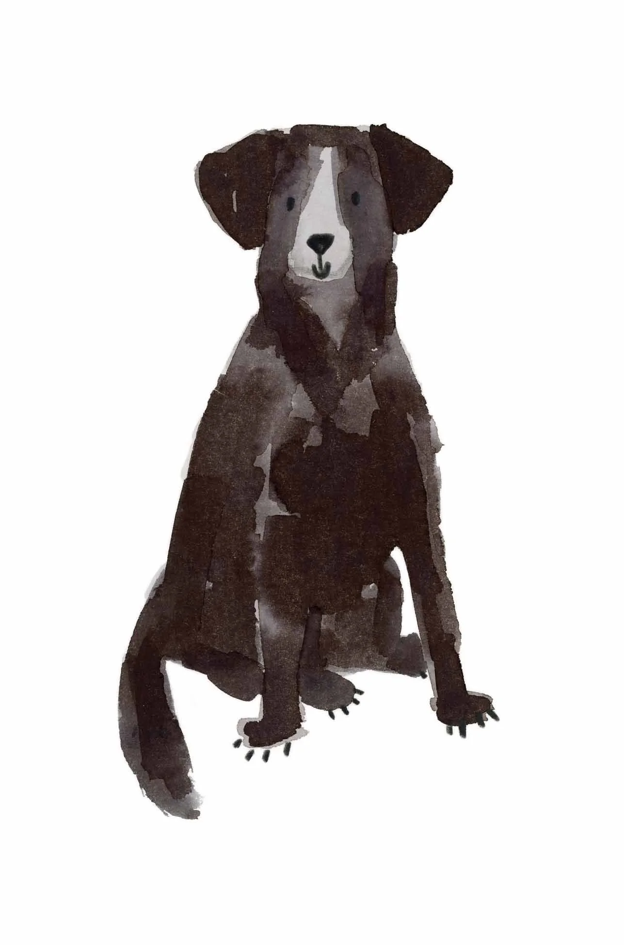 Black Labrador original 7 online.jpg