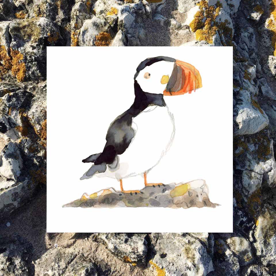 puffin promo 1 online.jpg