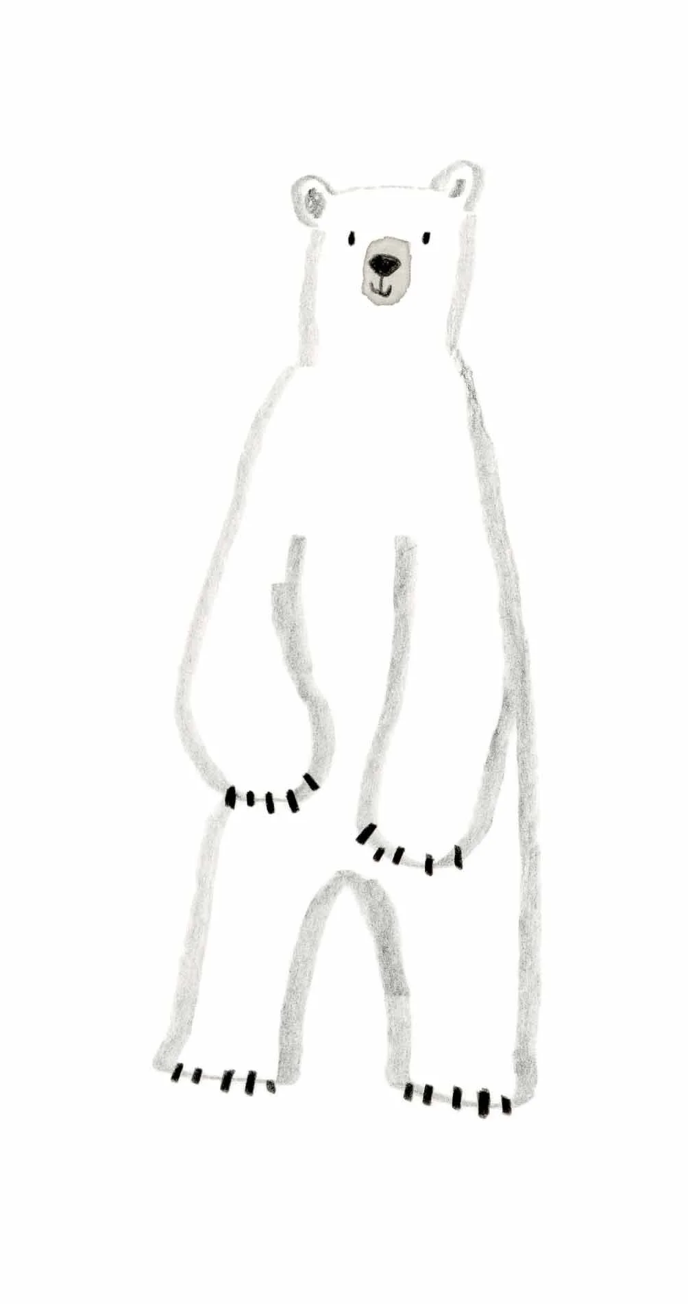 Polar Bear Sketch 1 online.jpg