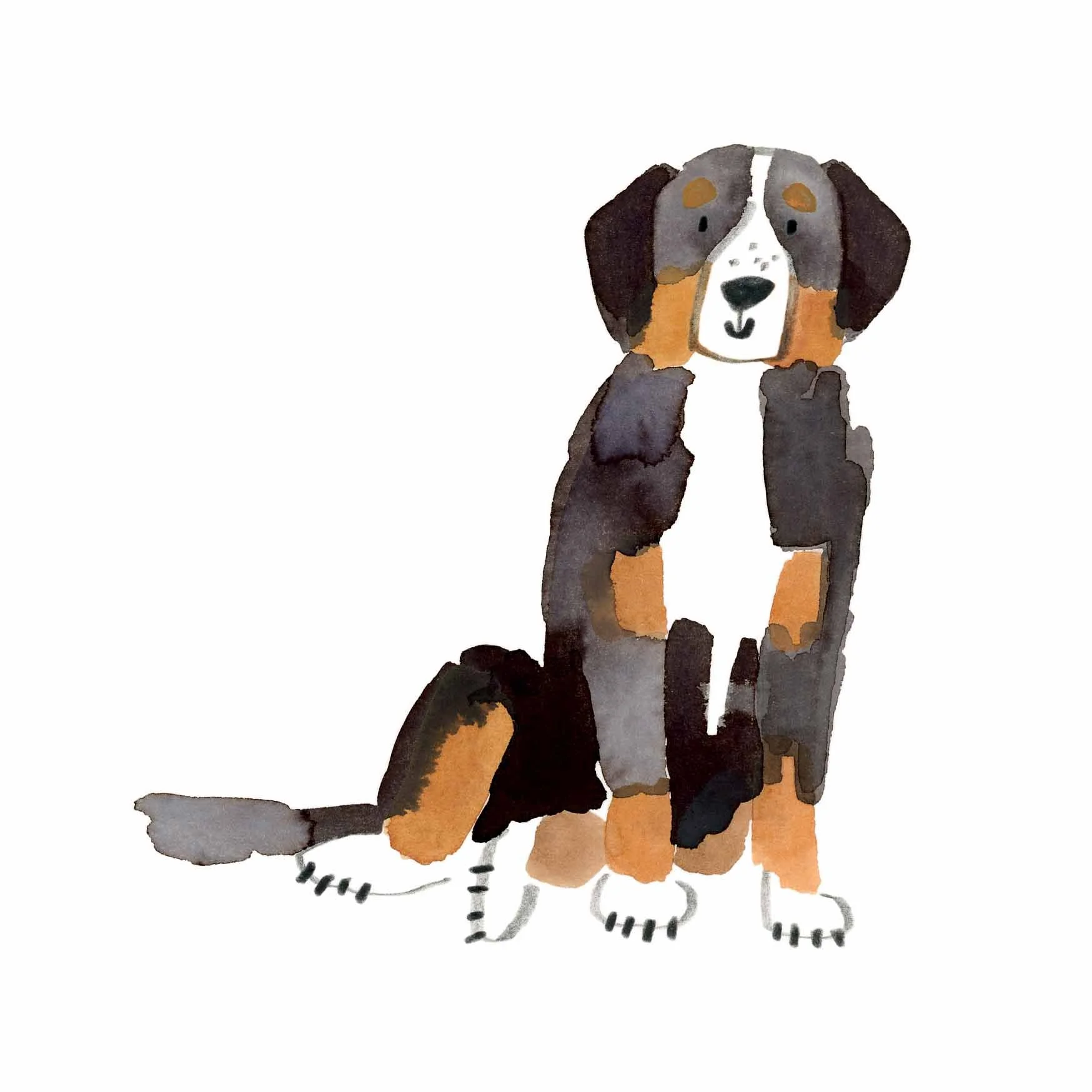 Bernese Mountian Dog Print 1 online.jpg