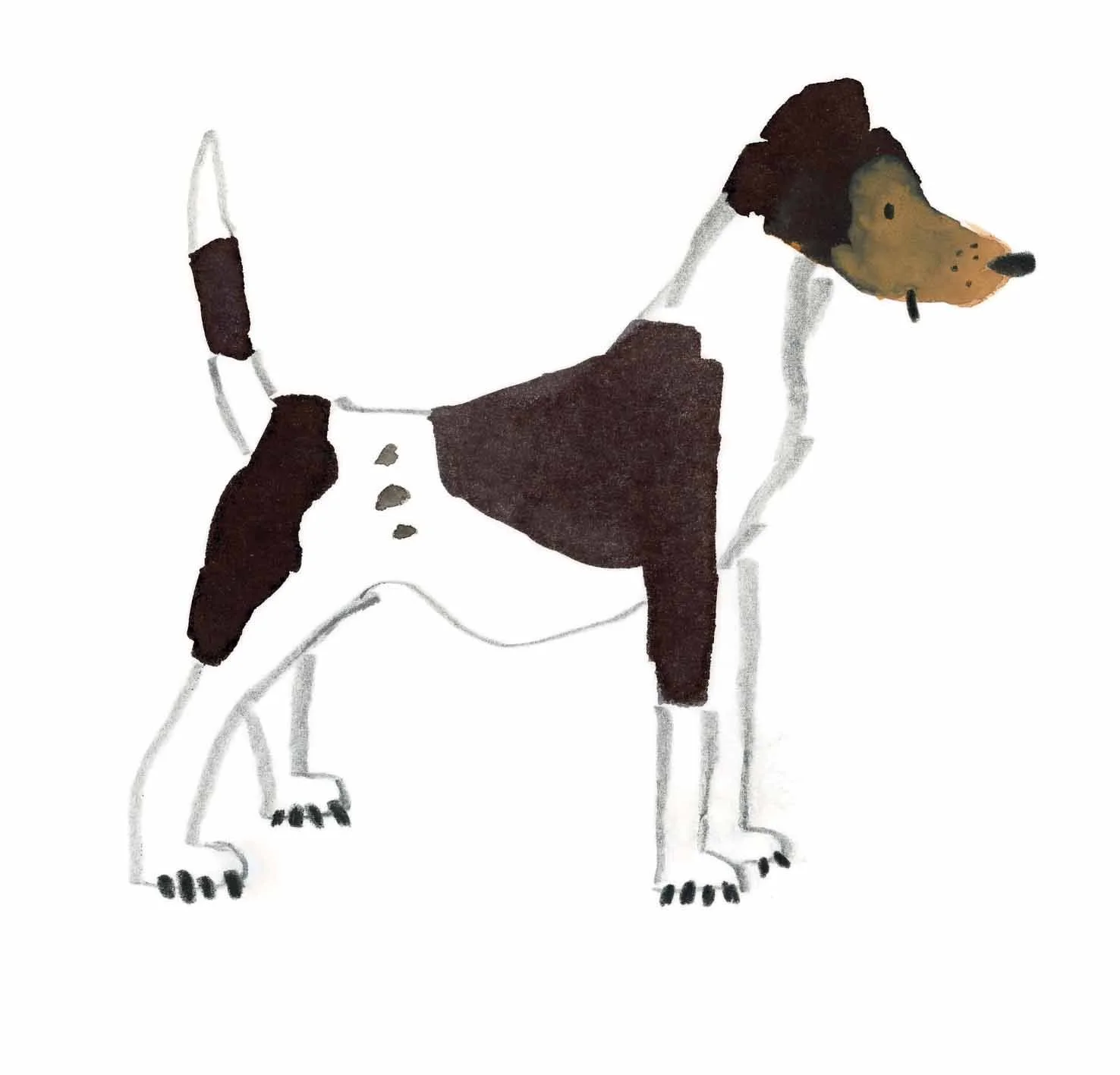 Fox Terrier Original 1 online.jpg