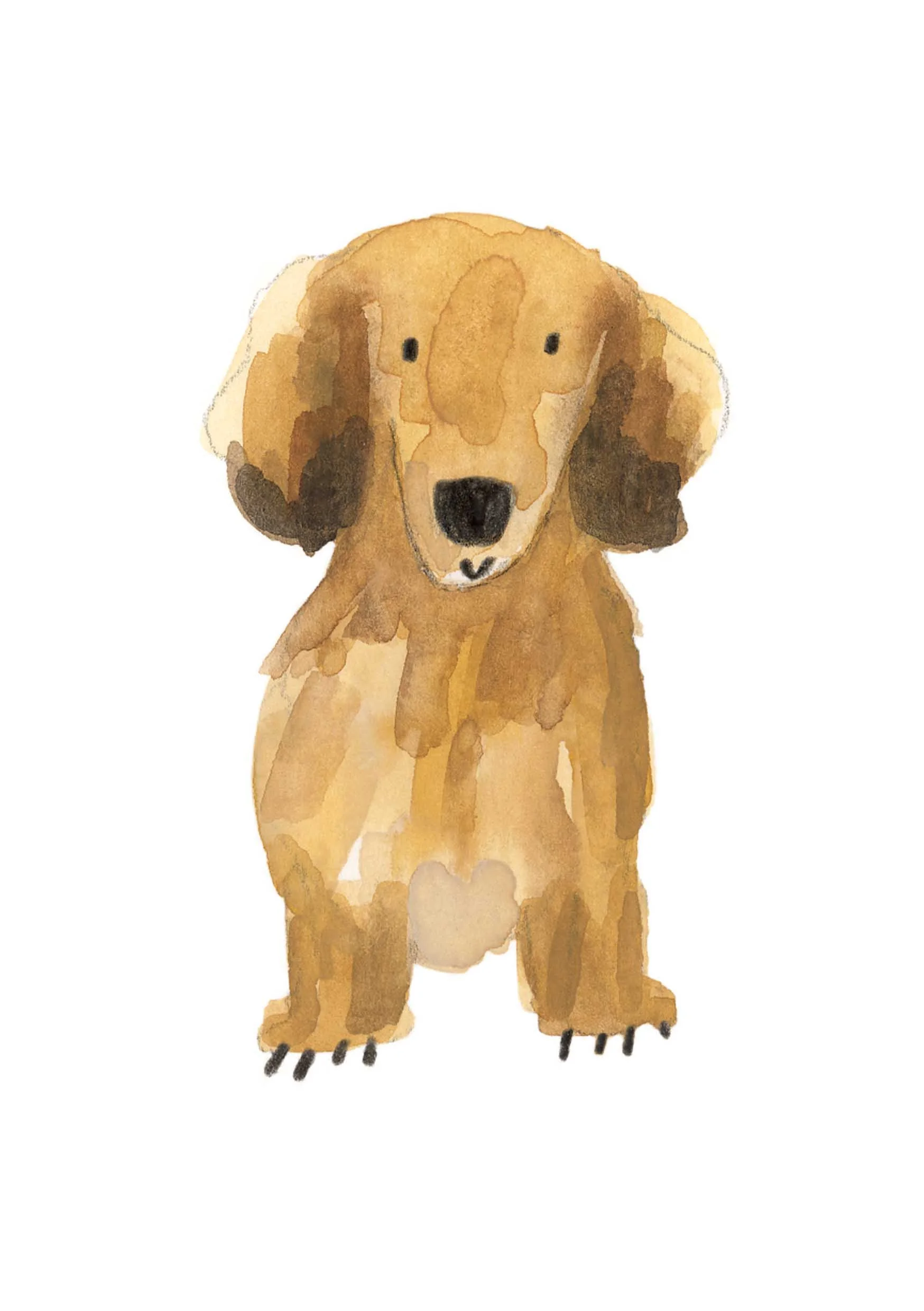 Long Haired Dachshund Print online.jpg