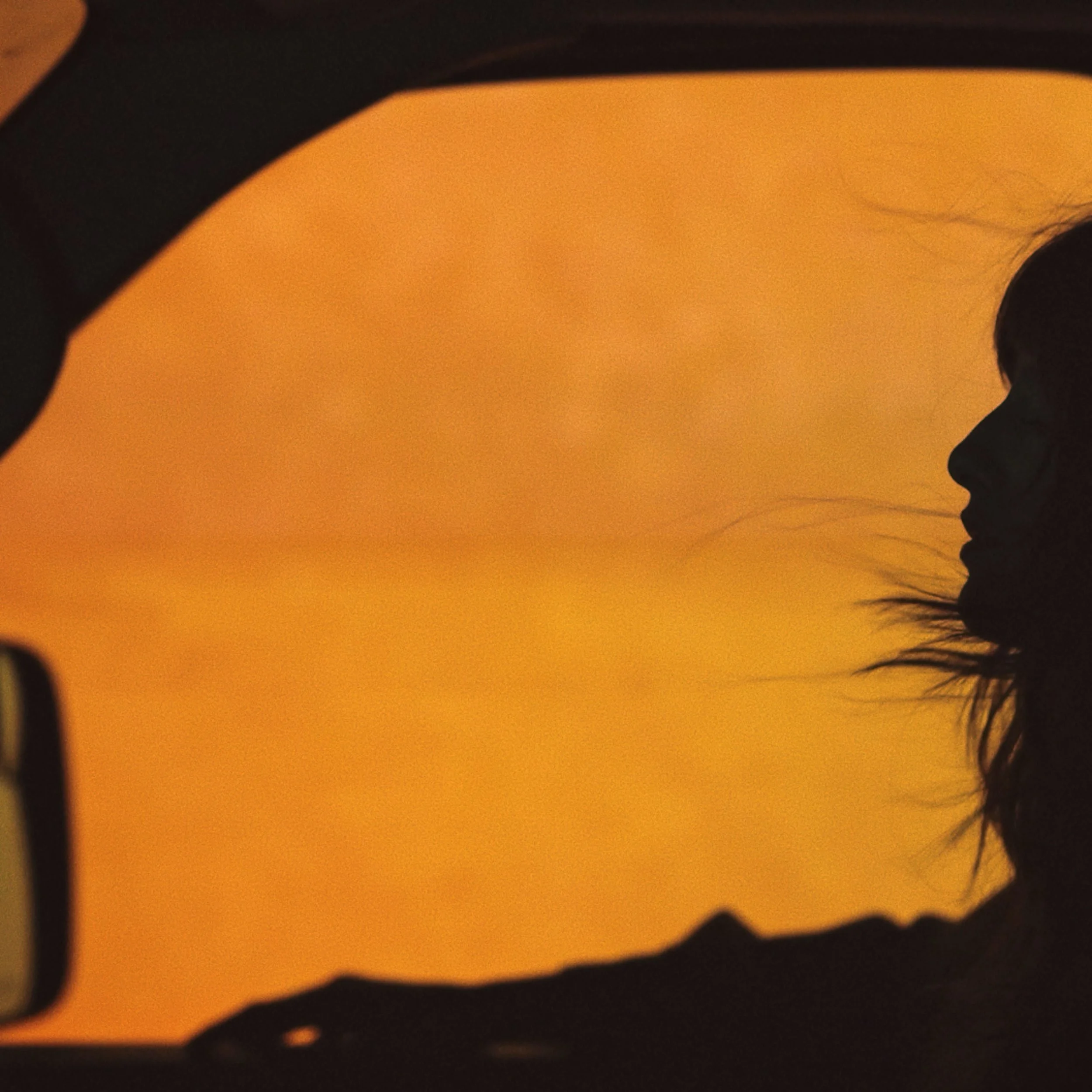 Kiss The Weeds is living in the world *NOW* on all platforms, including our music video we just dropped on YouTube 💛🧡 

Kiss The Weeds is about the unique experience of seeing America on the road and noticing profound truths, even in the tiniest mo