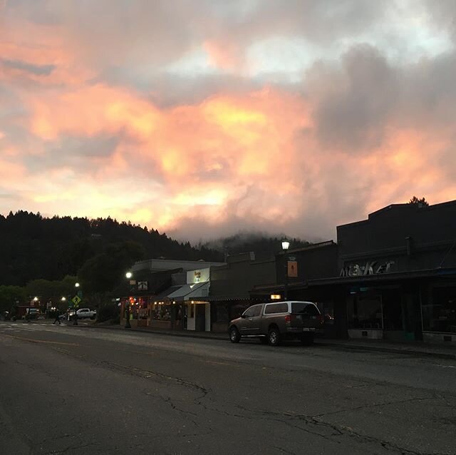 Cherishing this weather while it lasts... soon begins the Great Yearly Drought. #rainyseason #laterains #california #mediterraneanclimate #redwoodcountry #sonomacounty #russianriver #guerneville #rainlover