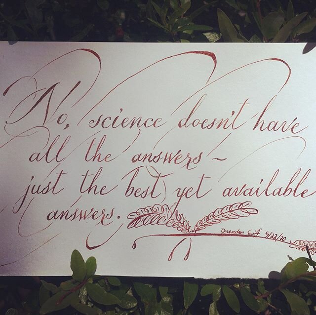 I don&rsquo;t know who needs to hear this, but...
#science #supportscience #proscience #covid19 #pandemic #calligraphy #freestylecalligraphy #pointedpen #pearlescentink #penandink #practicepracticepractice