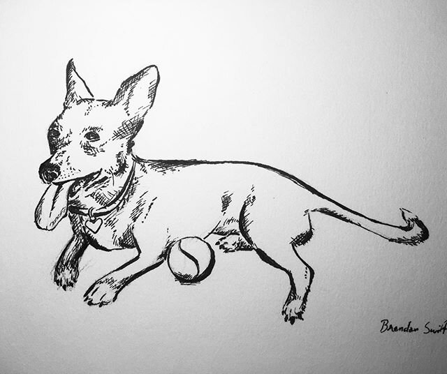 Practicing Sigrid illustrations for a potential rubber stamp commission #sigridpuppy #sigridratbane #dogsofinstagram #illustration #brushpen #drawing #sketching #illustratorsofinstagram #artistsofinstagram #practicepracticepractice