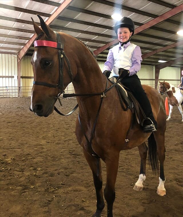 Congratulations Lauryn on a great morning at the Kaysinger horse show! We&rsquo;re so proud of you and Party On 🐴🎉