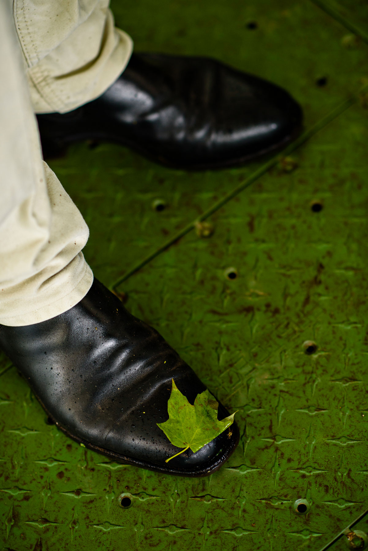 Onderdonk House Wedding  green leaf on a shoe