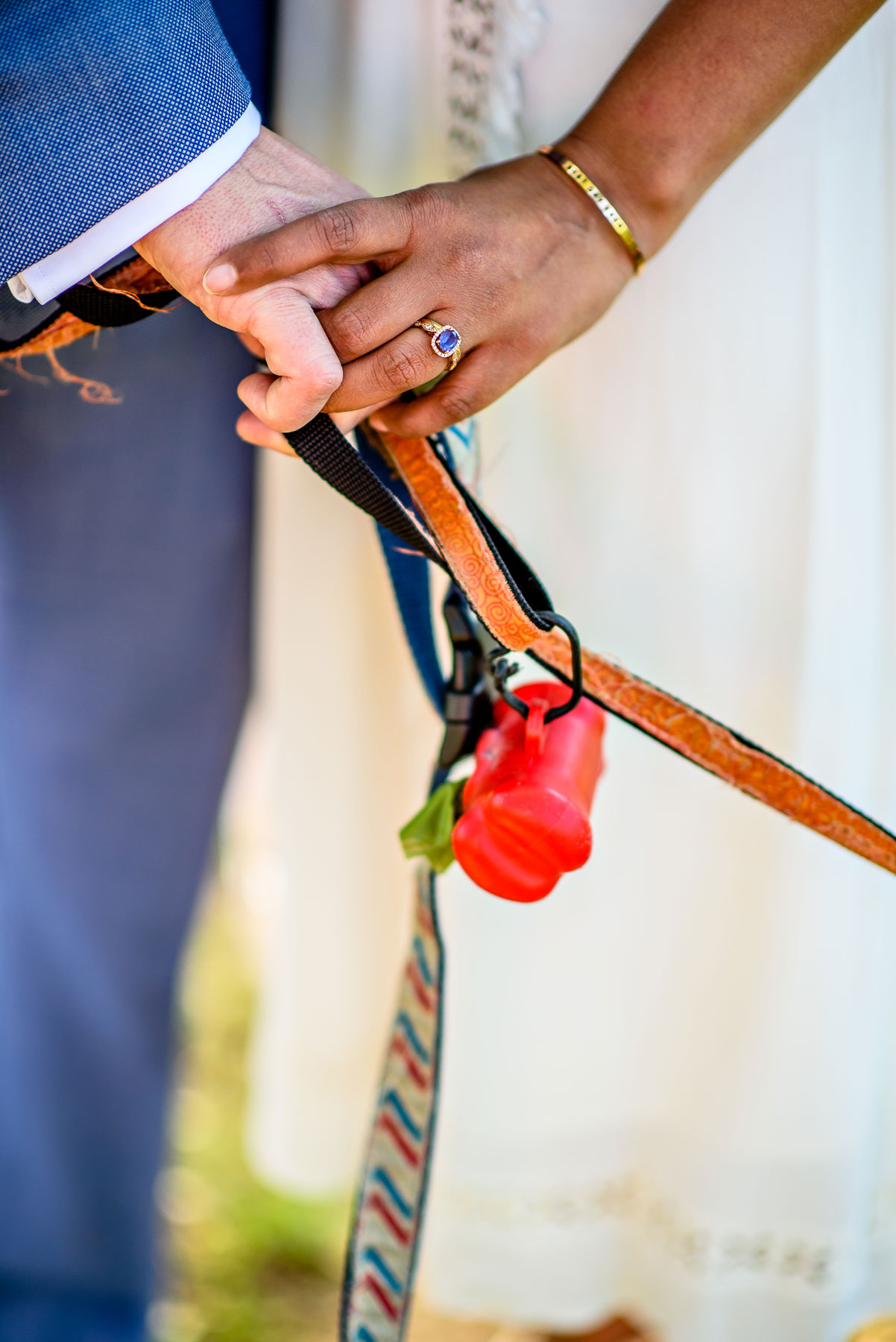 Central Park NYC Wedding bride and groom and dogs leashes