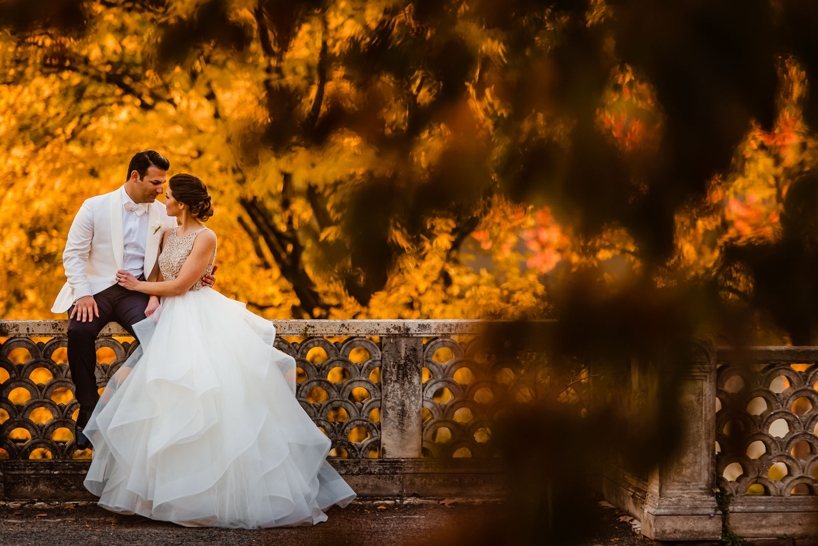 Bride and groom fall leaves portrait