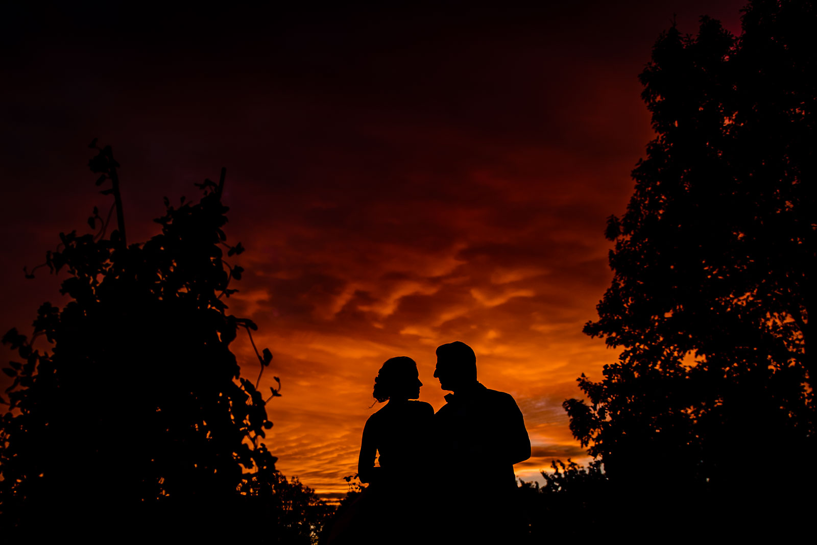 Bride and groom sunset portrait