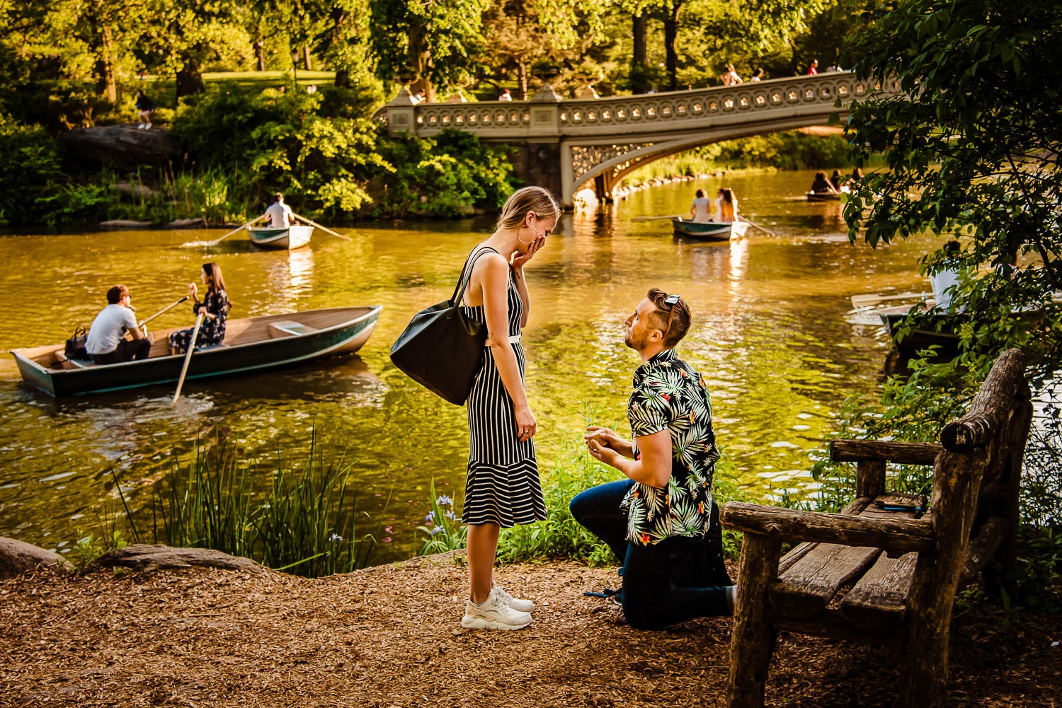 Central Park Proposal