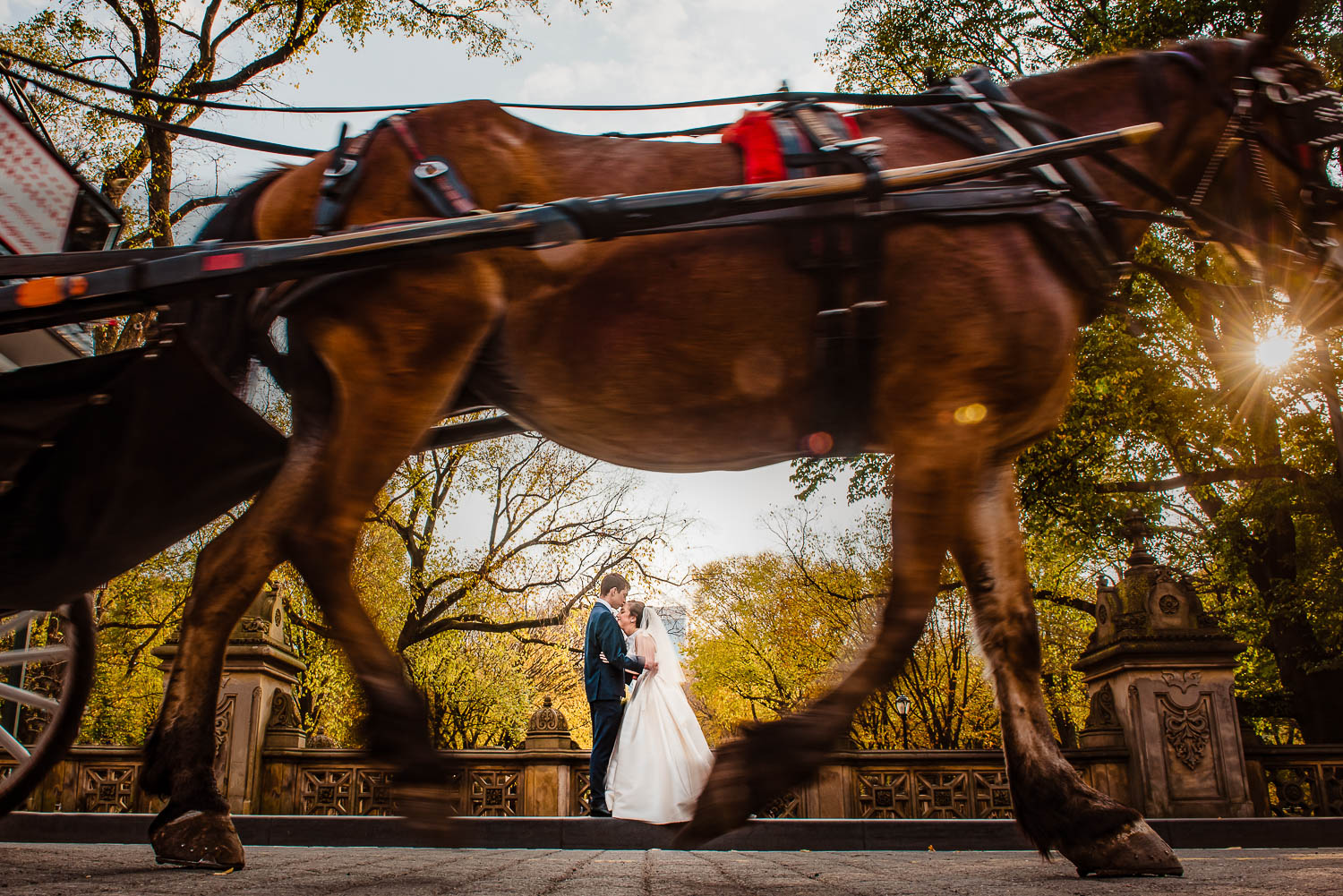 Central Park  Wedding