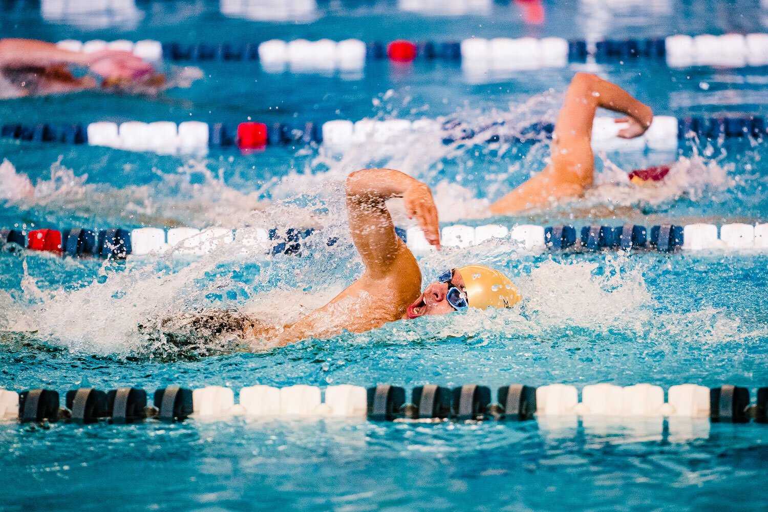 0023-NYC-sports-swimming-CUNYAC-champtionship-2019.jpg