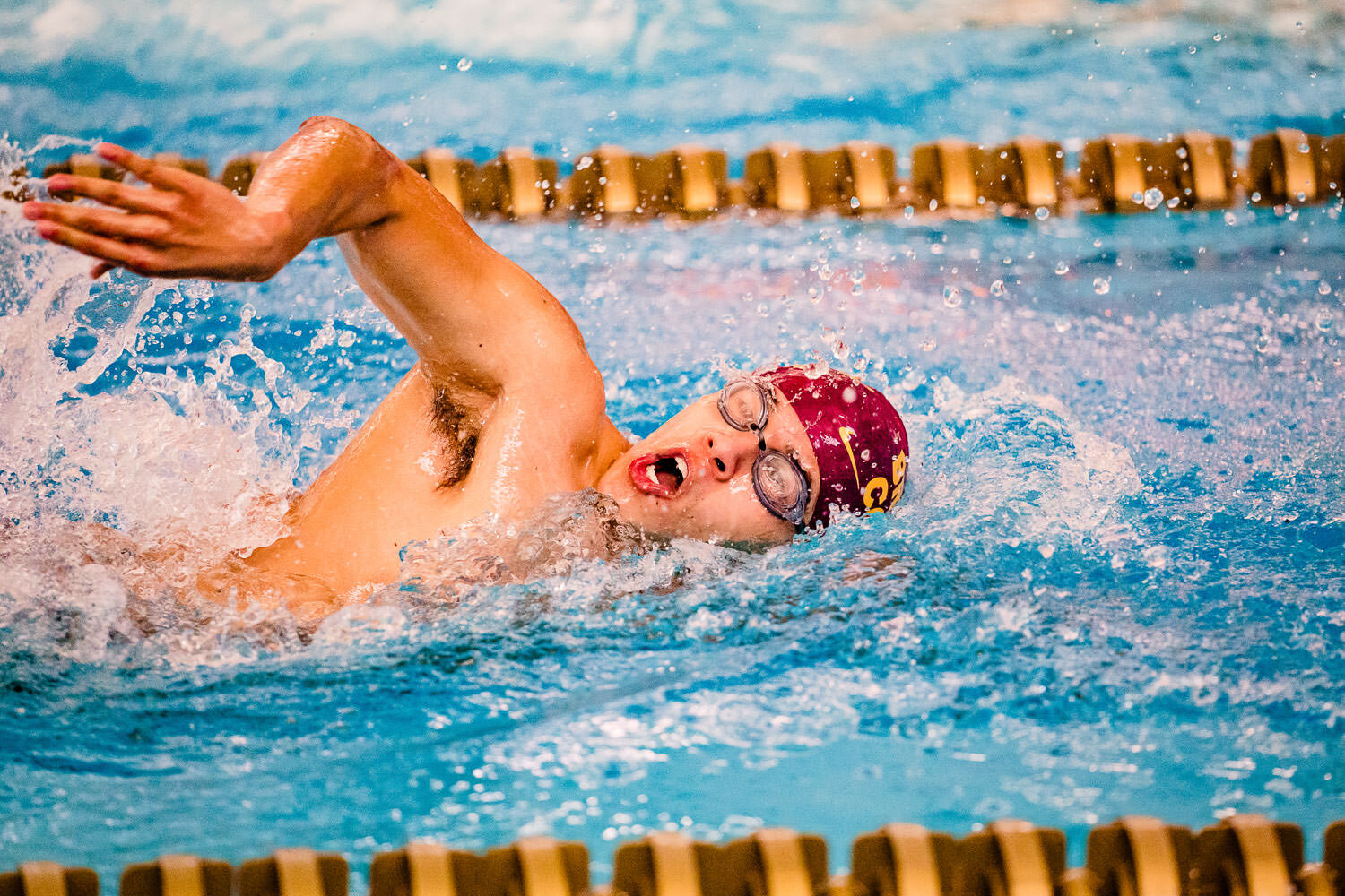 0024-NYC-sports-swimming-CUNYAC-champtionship-2019.jpg