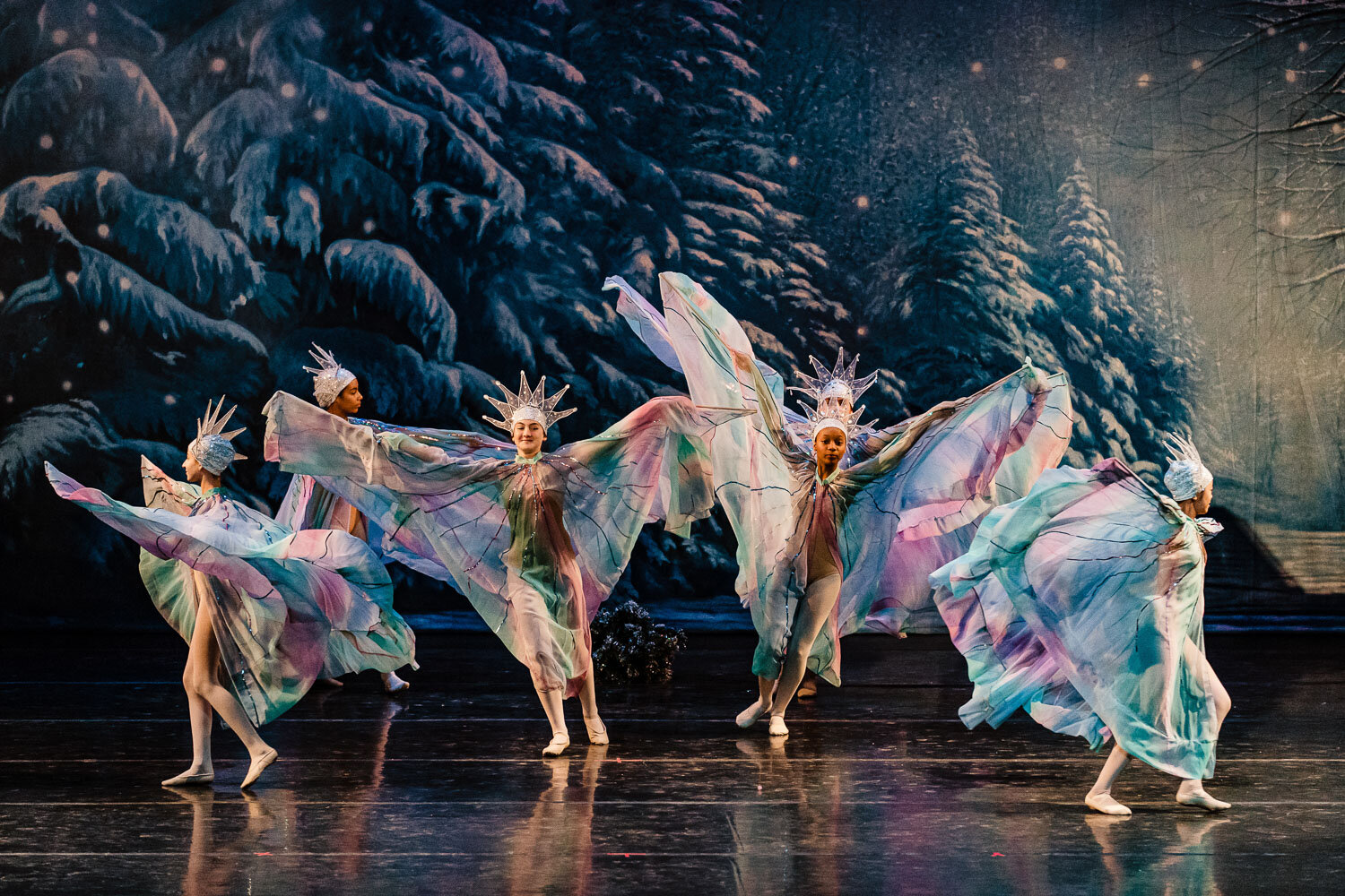 Brighton Ballet Winter Holiday Concert "The Twelve months" at Ki