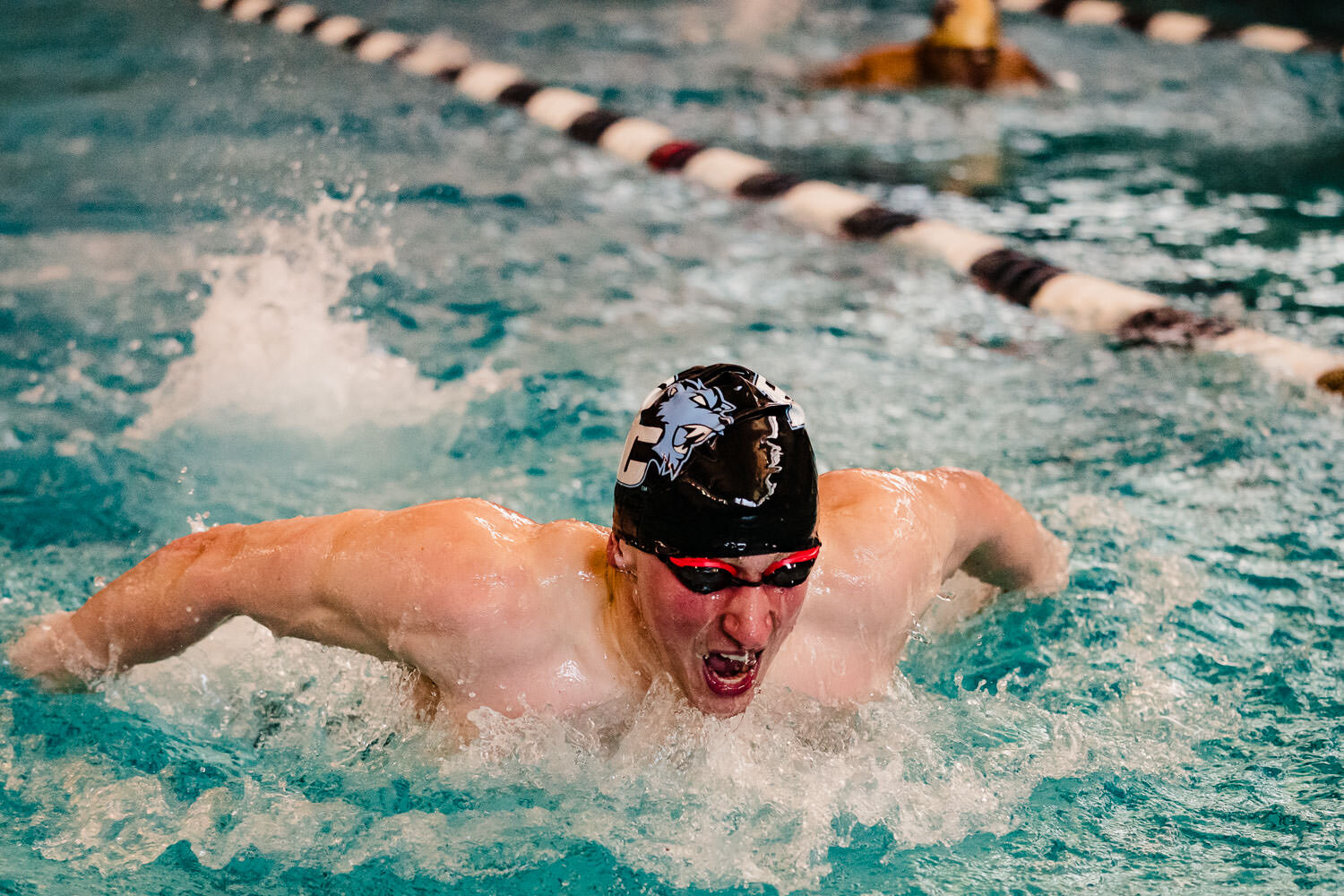 CUNY Athletics Swimming Championship 2020 at Lehman College