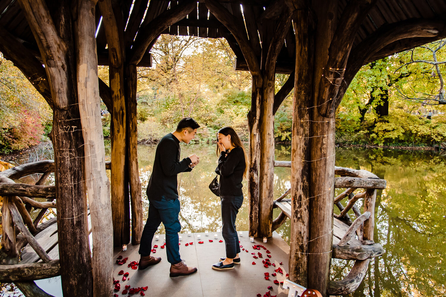 Central Park Wedding Proposal in Wagner Cove