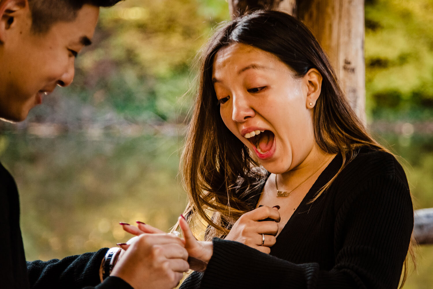 Central Park Wedding Proposal in Wagner Cove