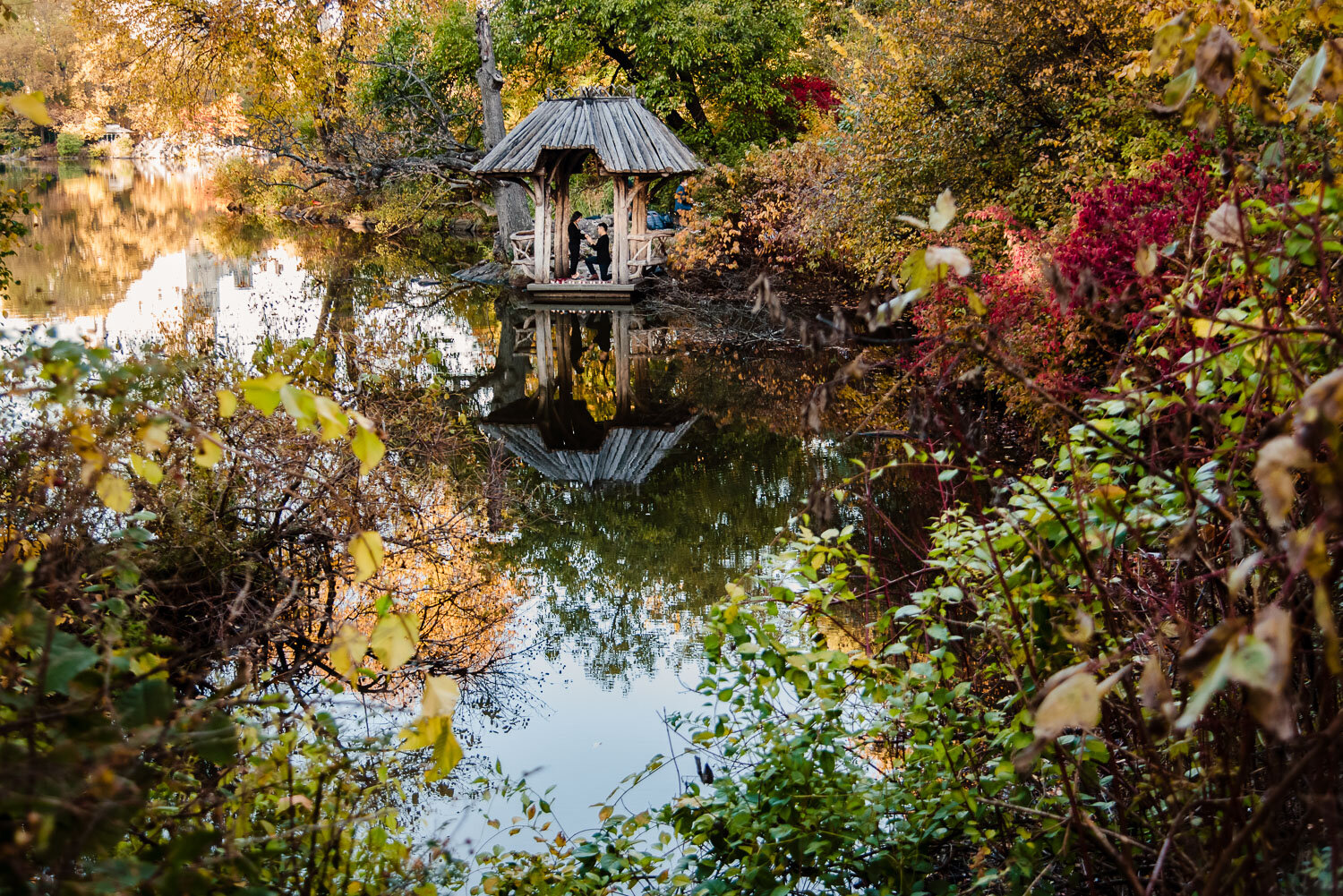 Central Park Wedding Proposal in Wagner Cove