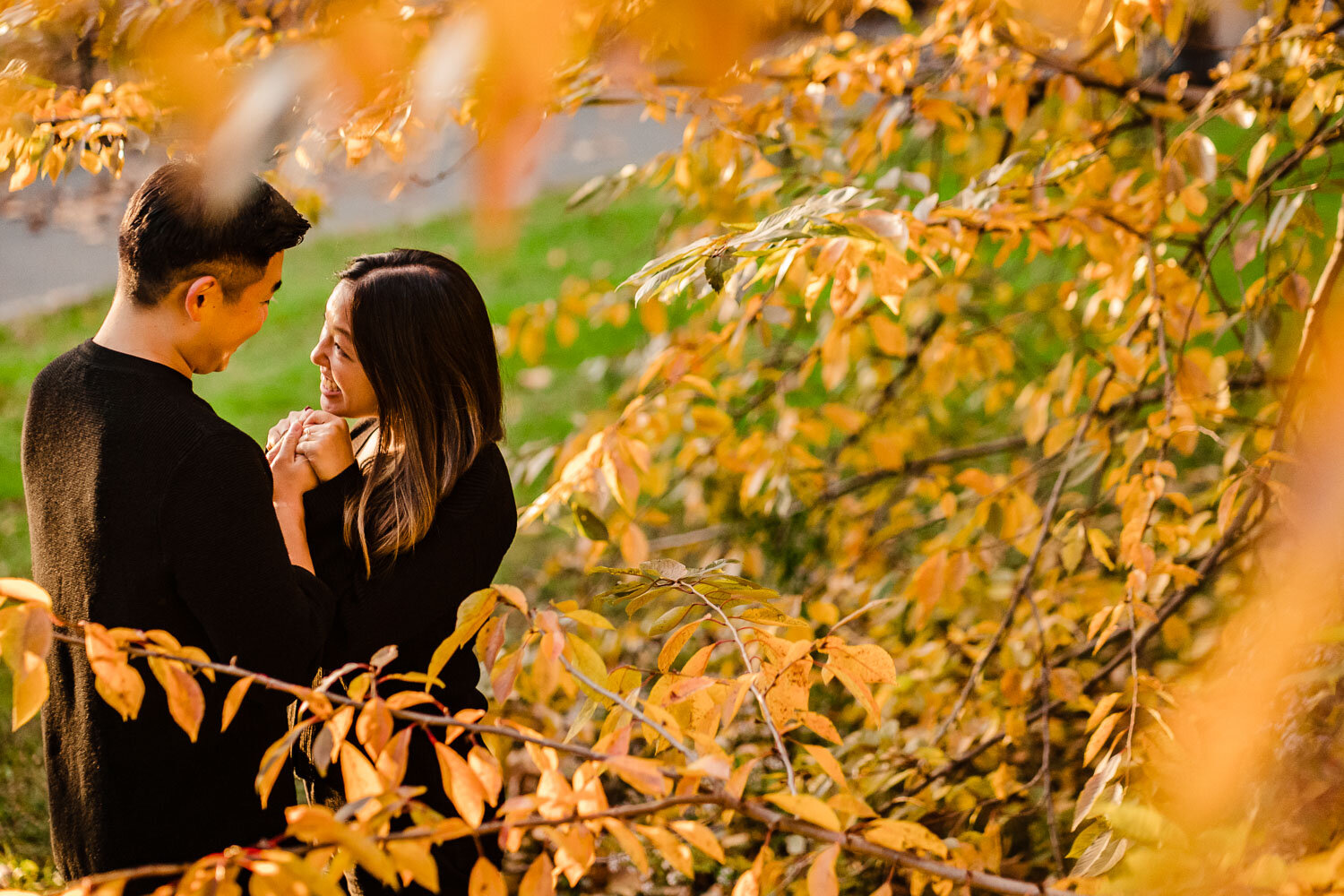 Central Park Wedding Proposal in Wagner Cove