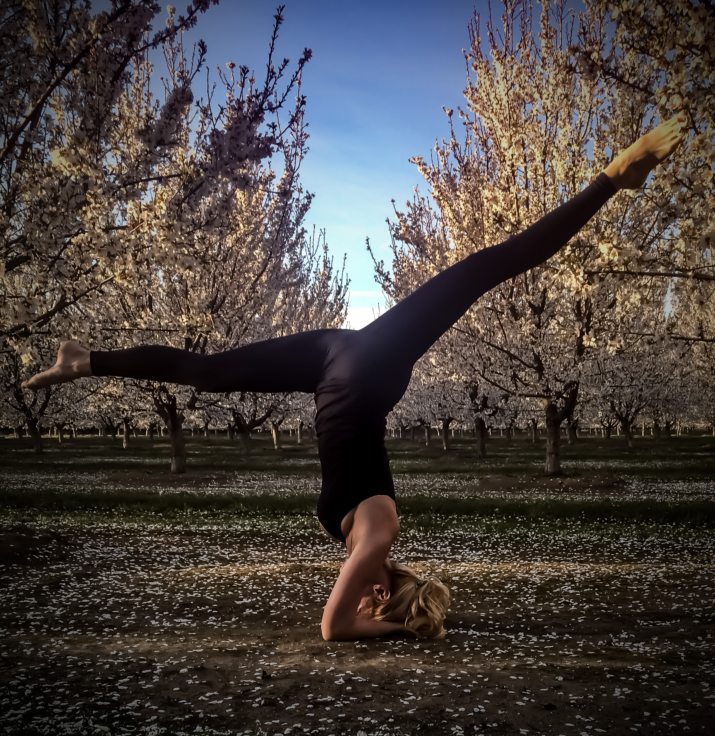 How this all began.....