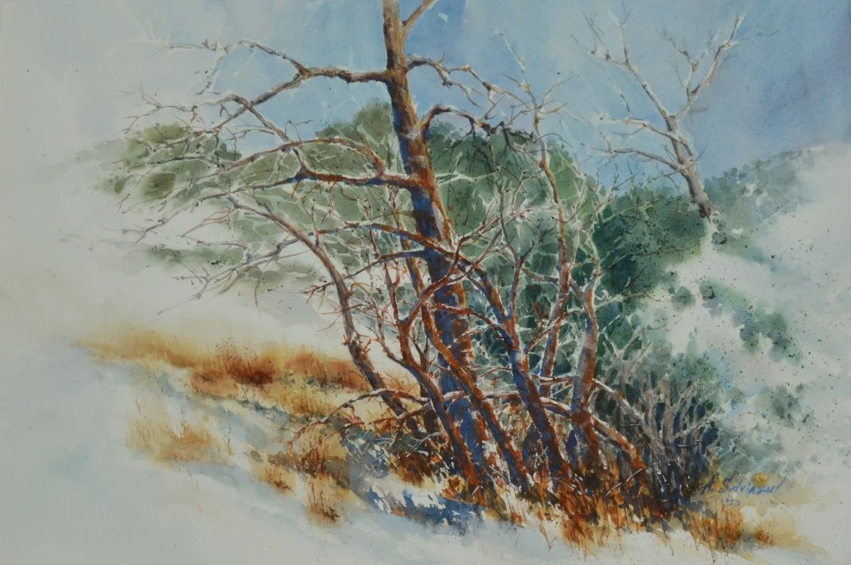 Winter Scub Oak.jpg