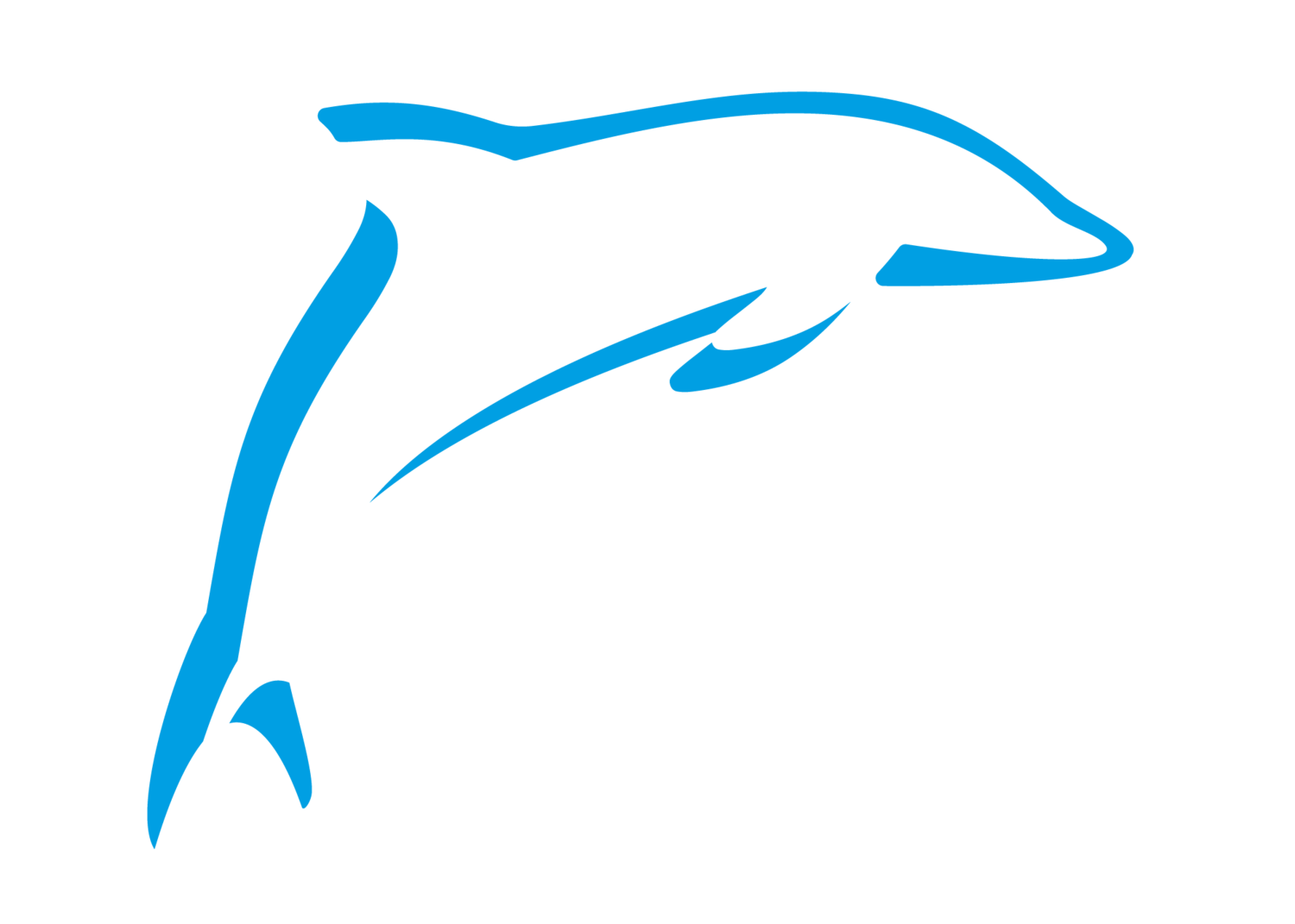 The Dolphin Laundry