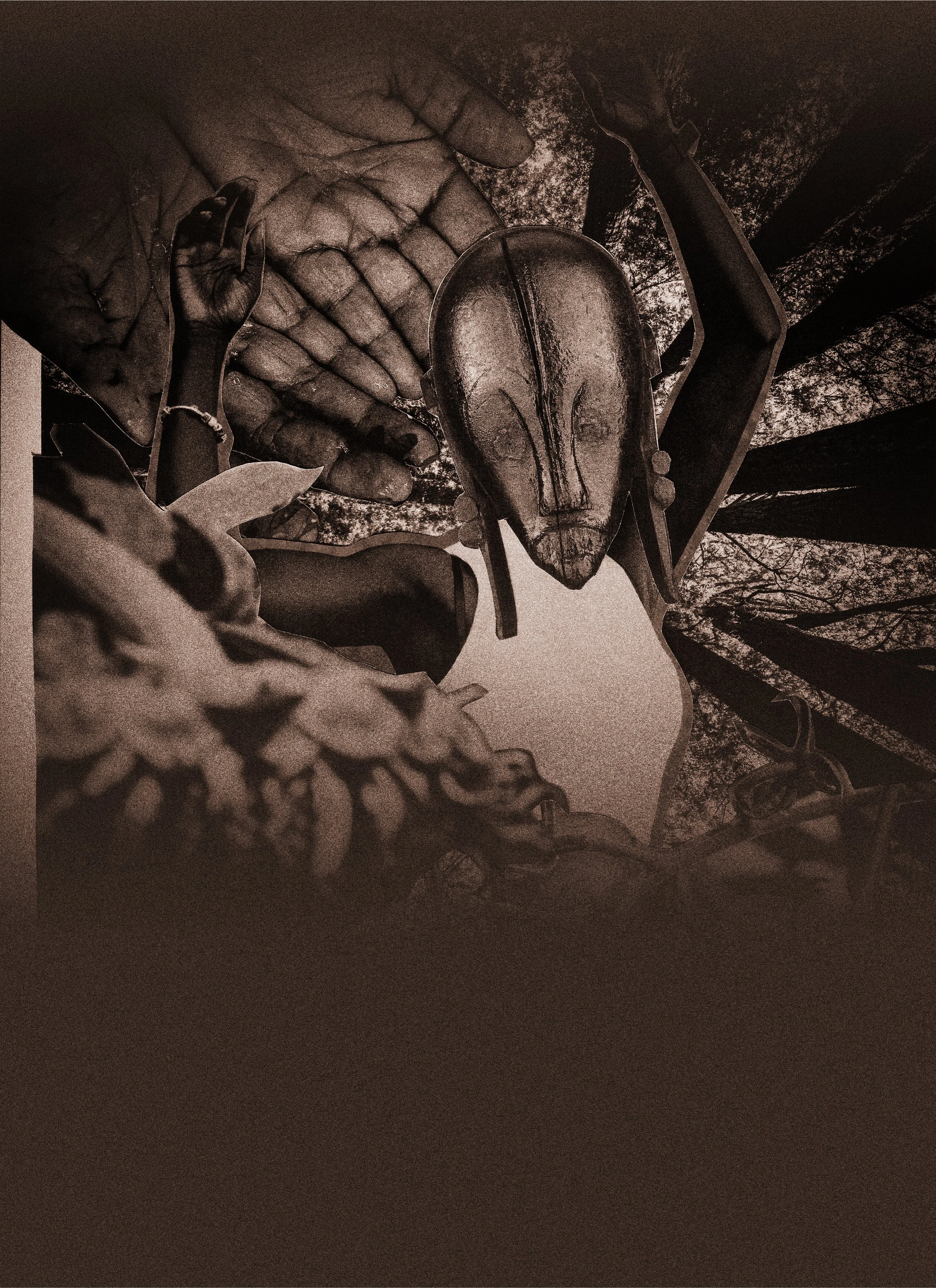 AfroEcology Zine Issue 01 is Here