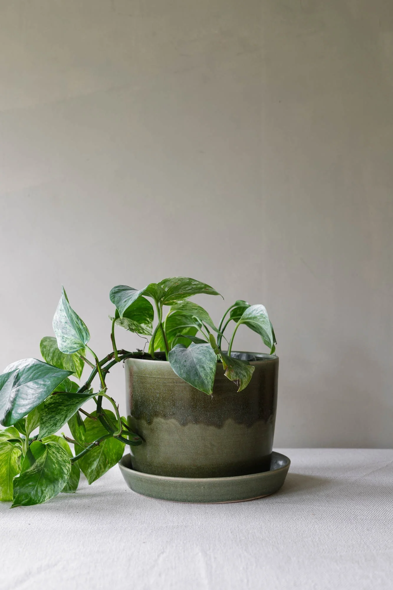 sophia-mcevoy-ceramics-3744.jpg