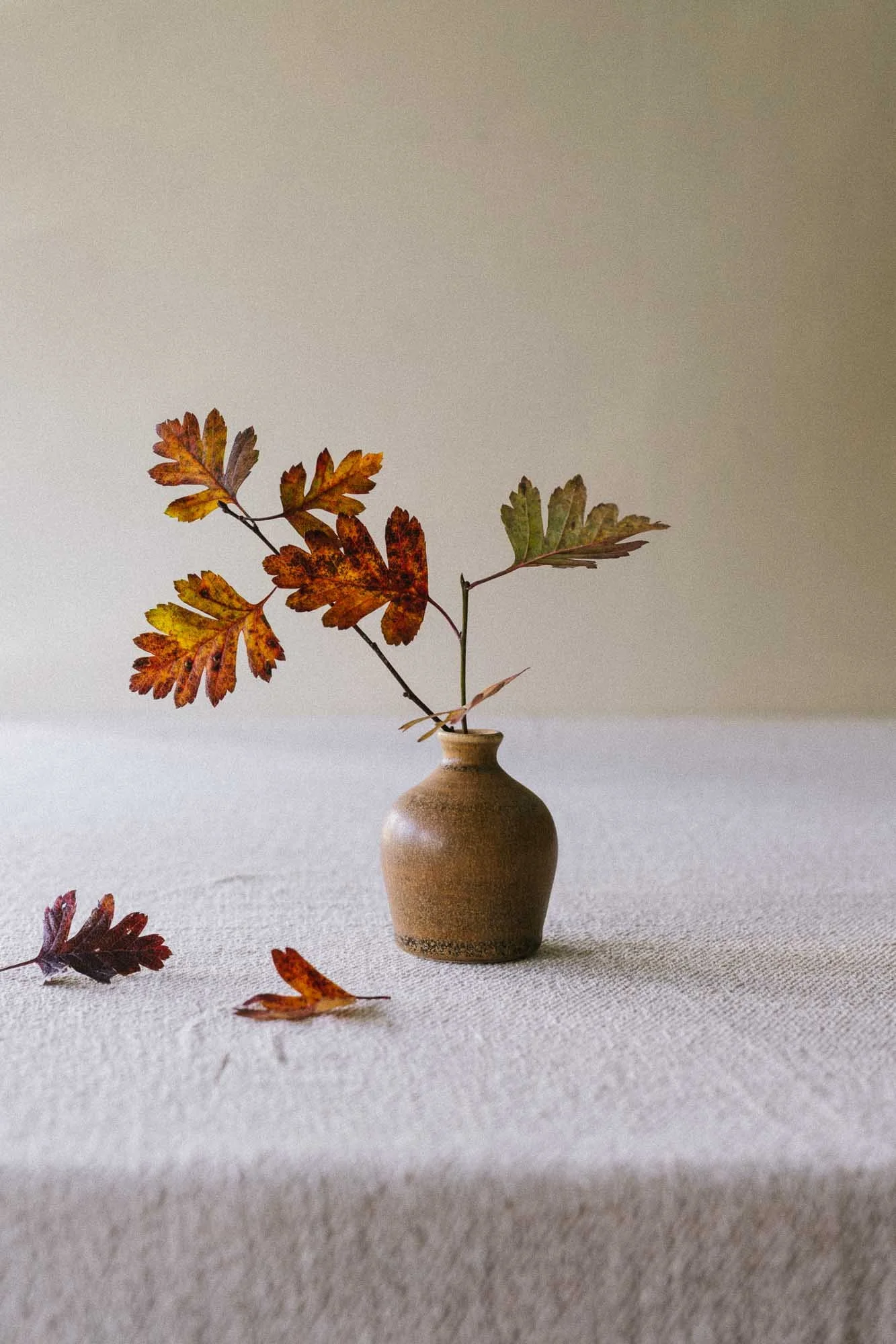 sophia-mcevoy-ceramics-4165.jpg
