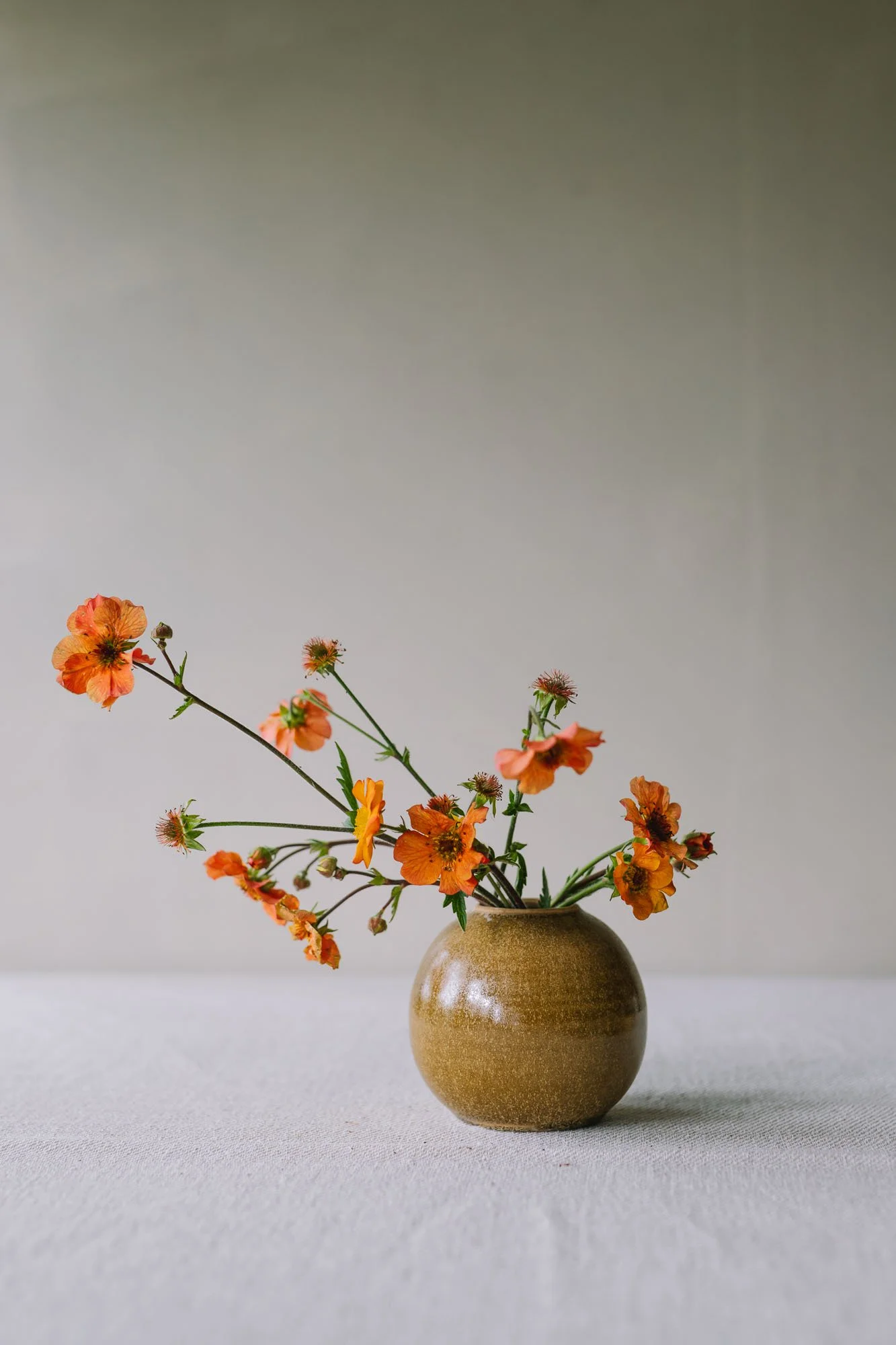 sophia-mcevoy-ceramics-4057.jpg