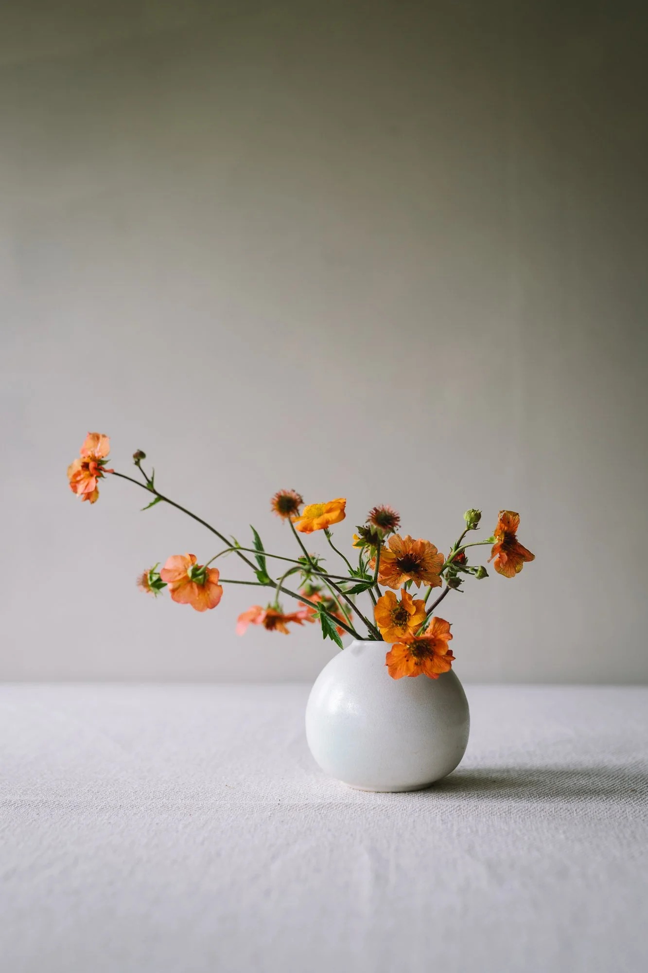 sophia-mcevoy-ceramics-4047.jpg