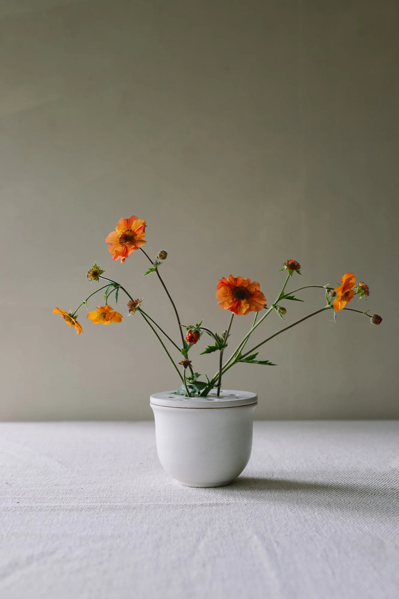 sophia-mcevoy-ceramics-3834.jpg