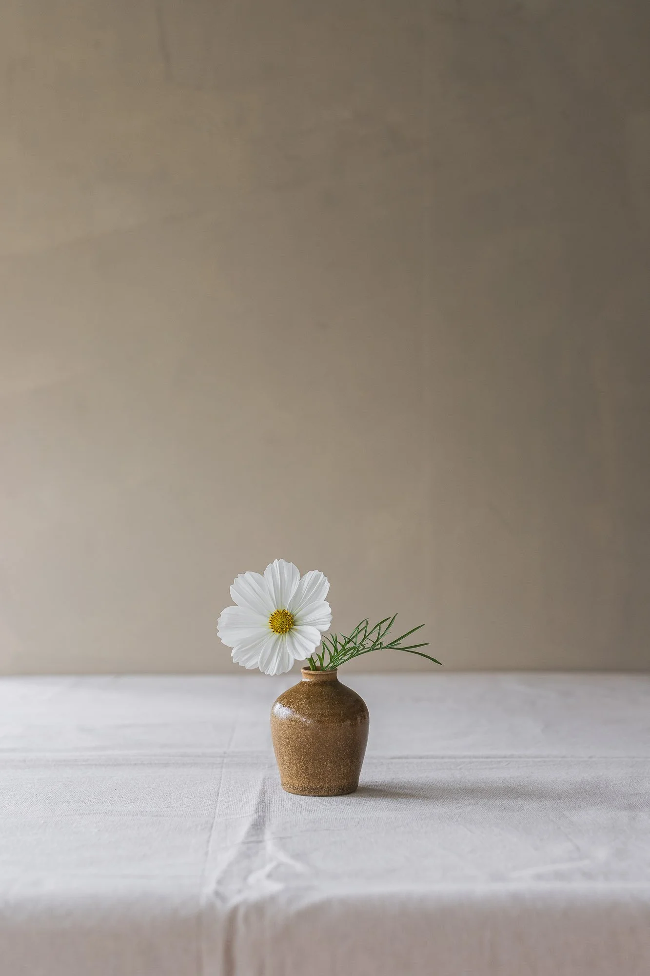 sophia-mcevoy-ceramics-1930.jpg