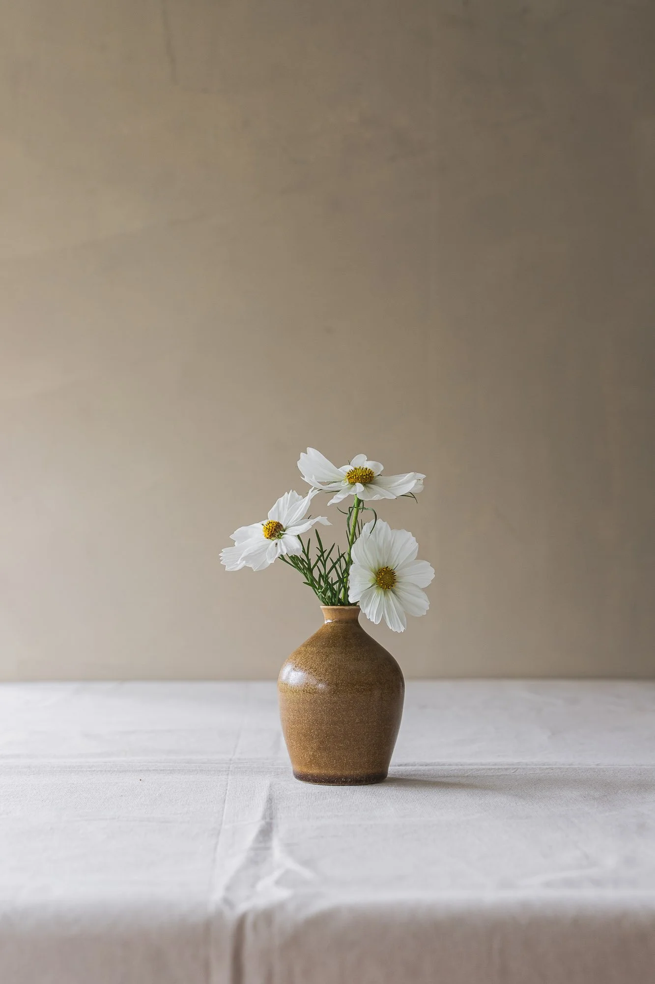sophia-mcevoy-ceramics-1923.jpg